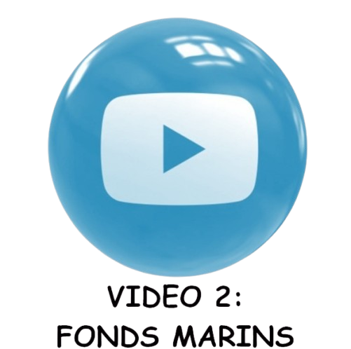 POISSONS-removebg-preview-2-