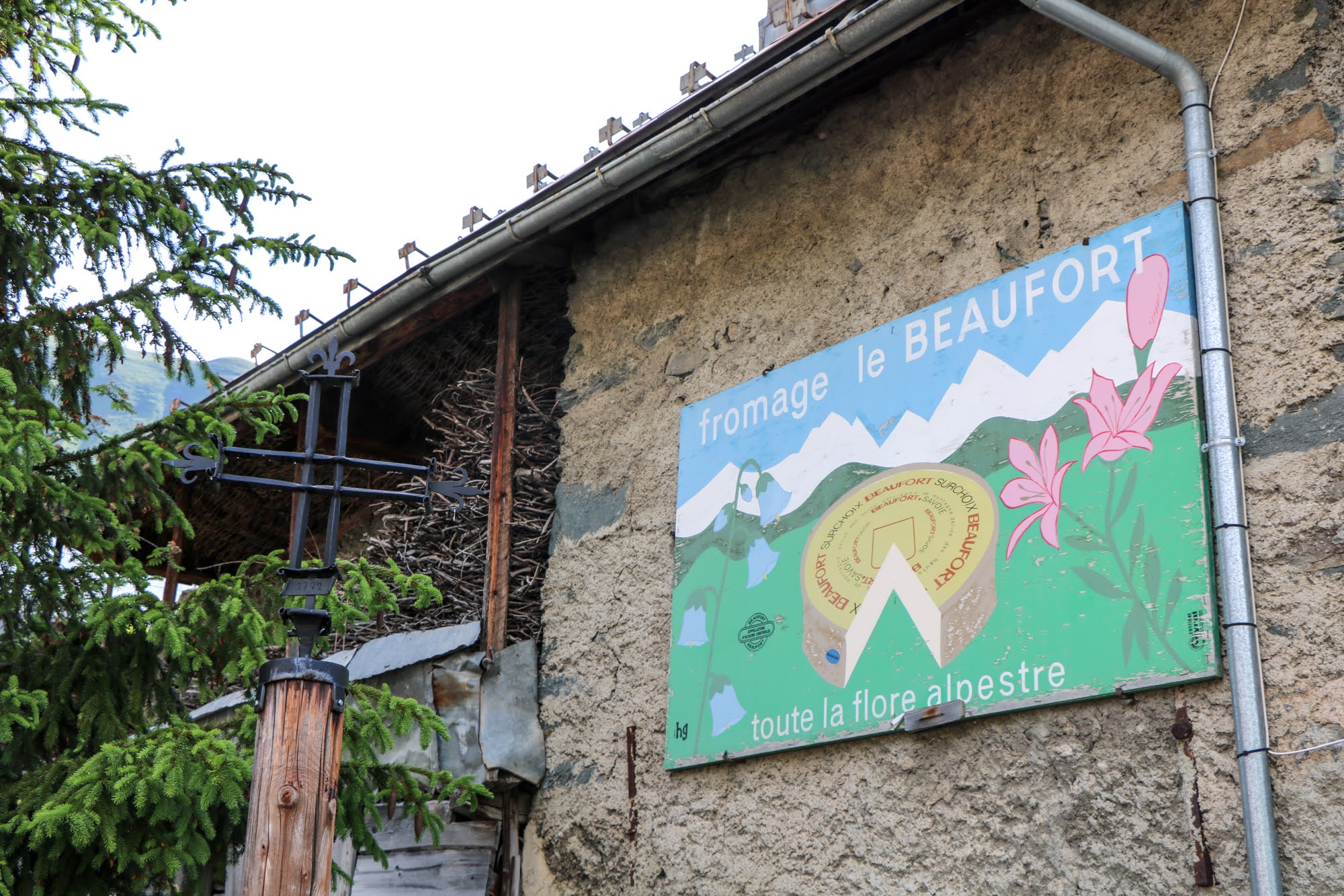 2020 06 11 saint sorlin arves la ville 37   ot saint sorlin d arves v bellot mauroz