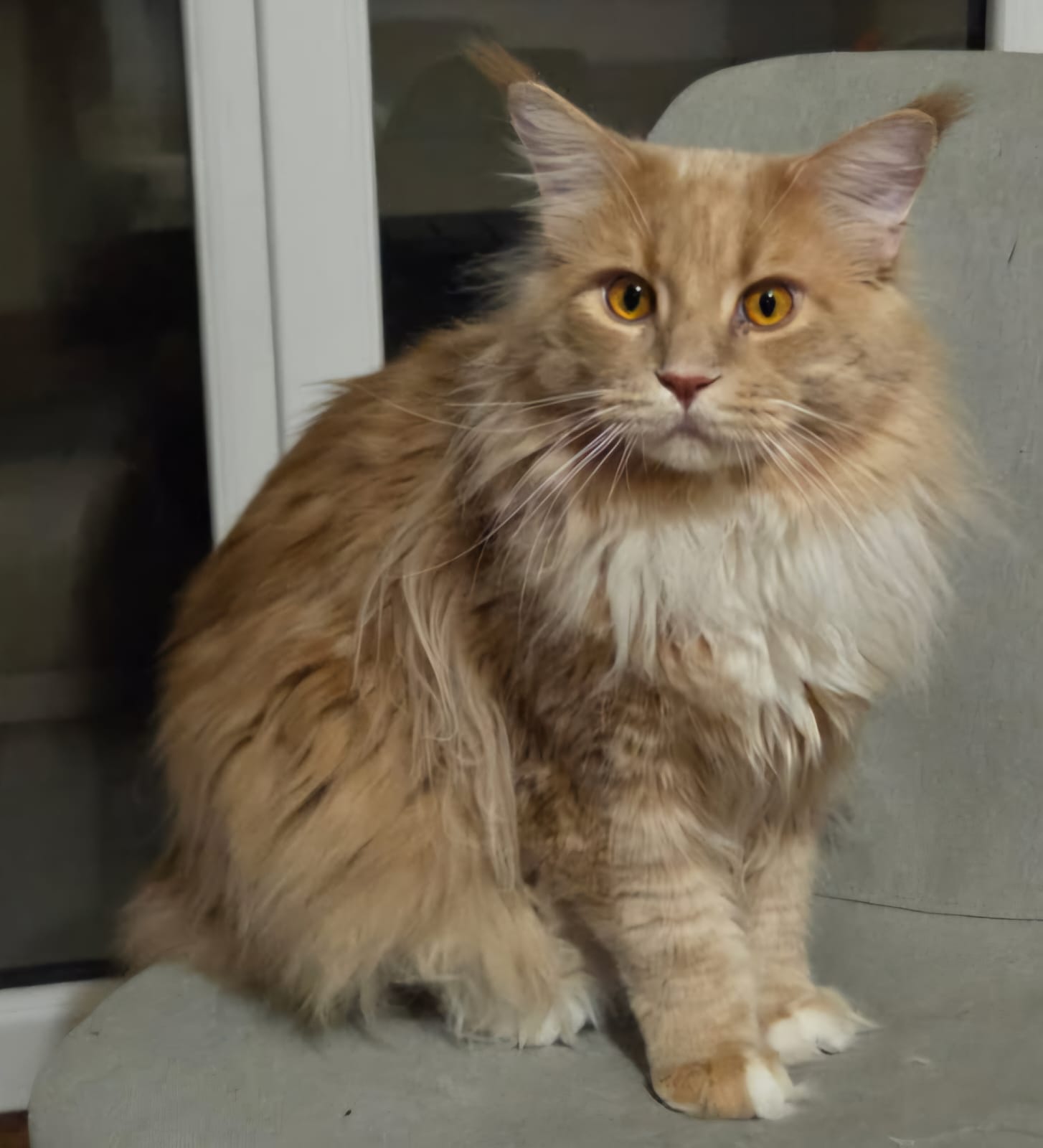 IMG-20251107-WA0029-1-