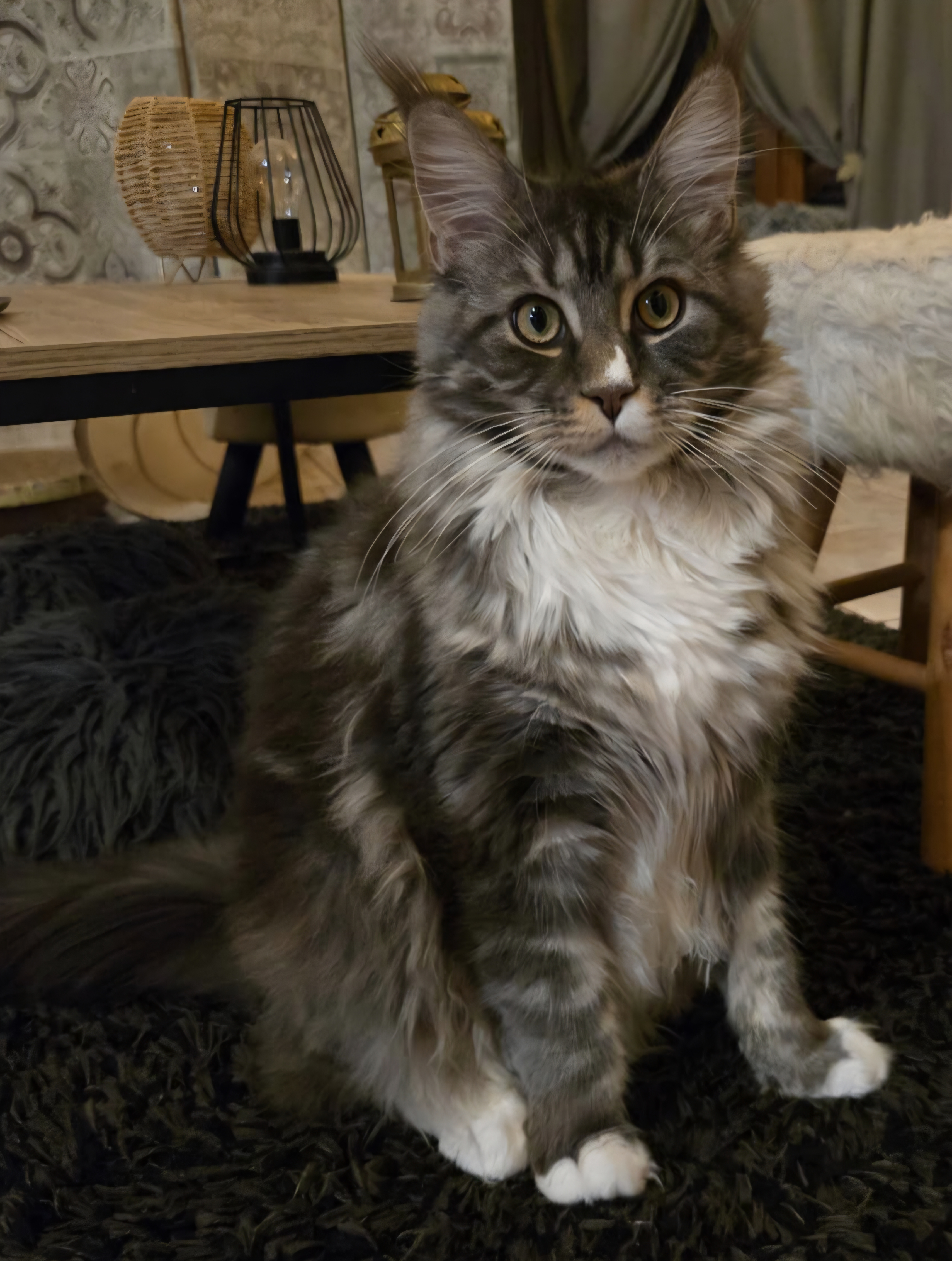 IMG-20251030-WA0036-1-2-