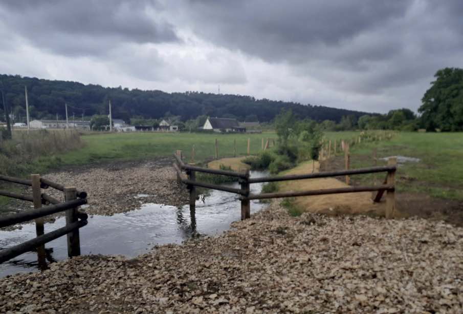 4 chantiers de restauration de berges en techniques végétales
