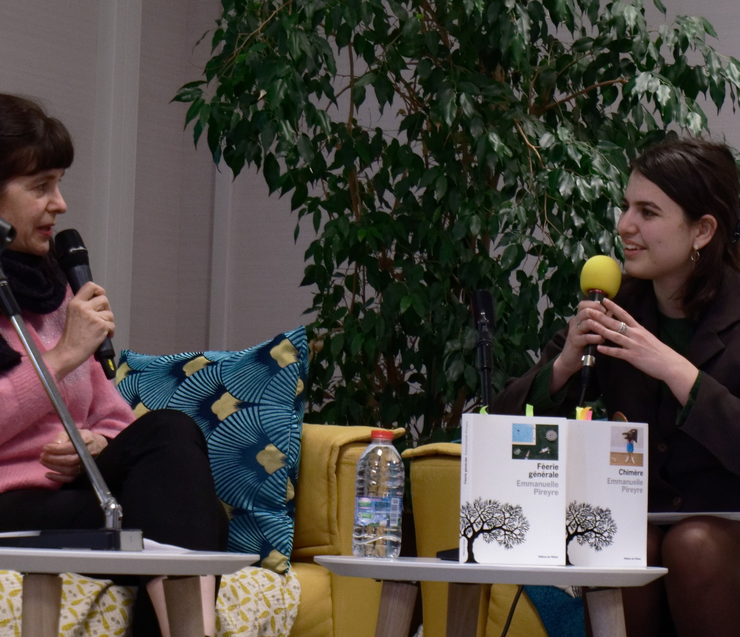 Photographie de l'animation d'une rencontre littéraire avec l'autrice Emmanuelle Pireyre lors du festival Bruits de Langues 2022 à l'Université de Poitiers
Poitiers, France