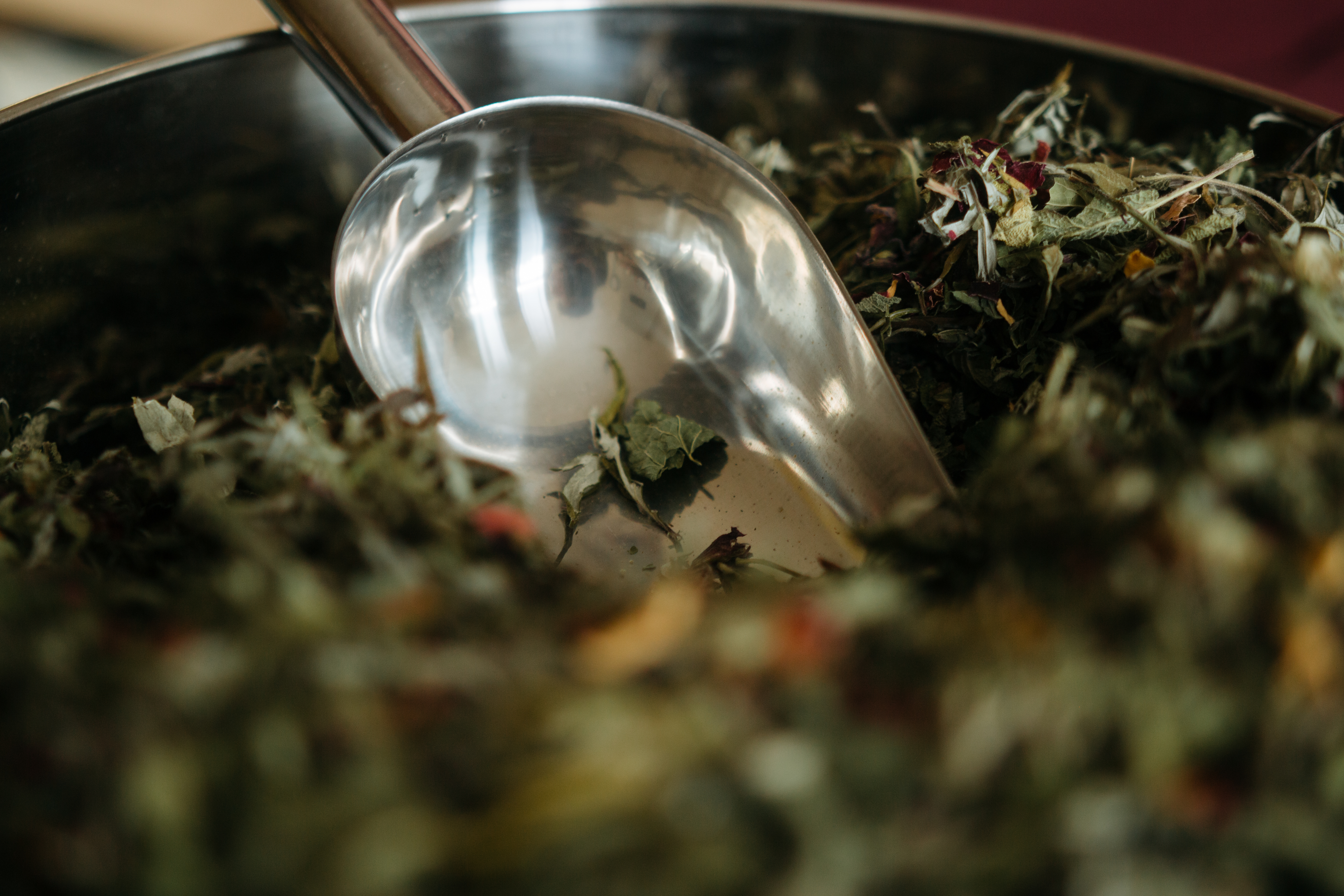 Civam-reportage-florence-2024 04-071