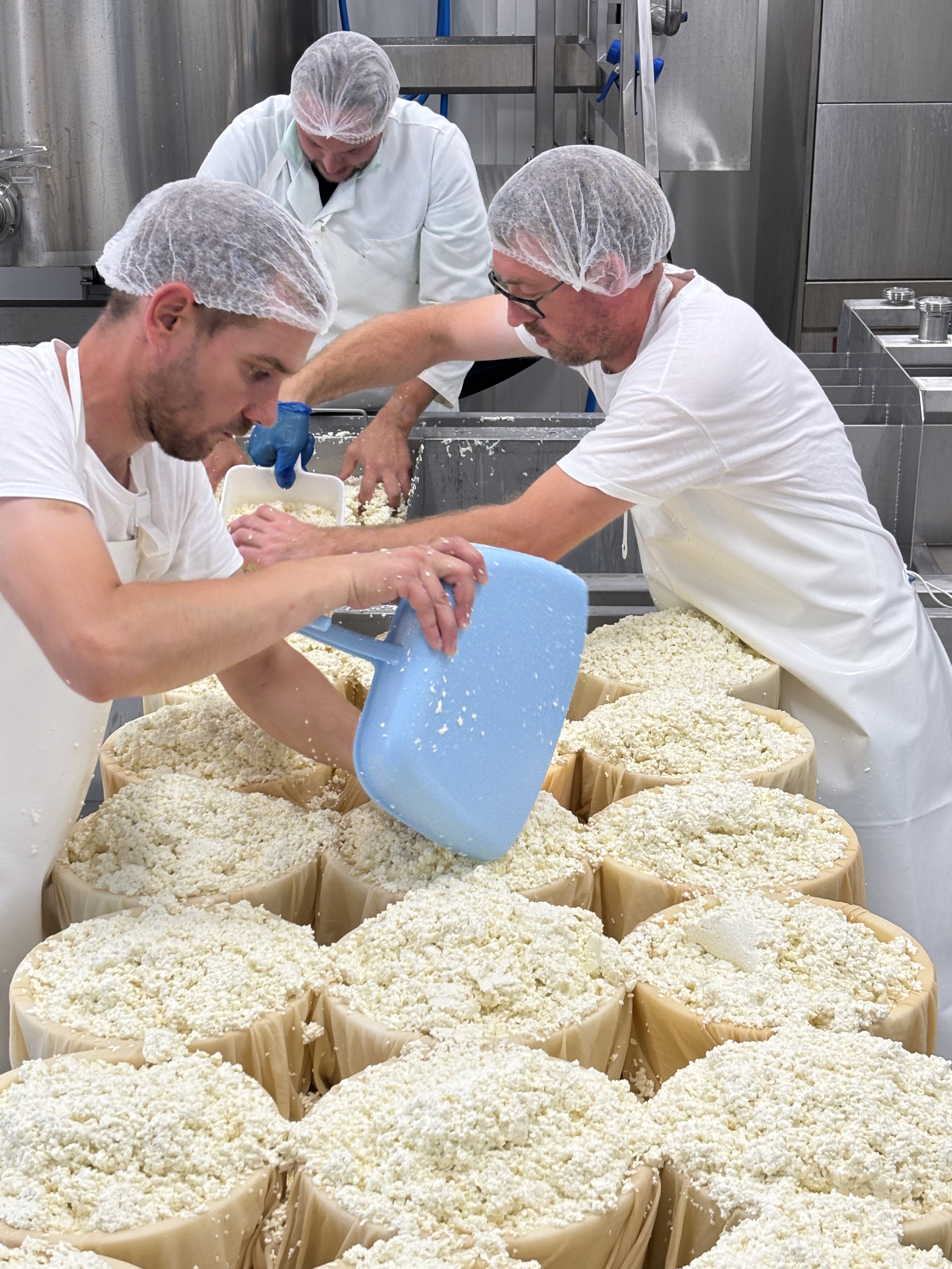 Fromagerie de flandre moulage