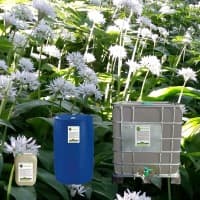 Purin d'ail (fabrication et vente en bidon-fût-cuve)