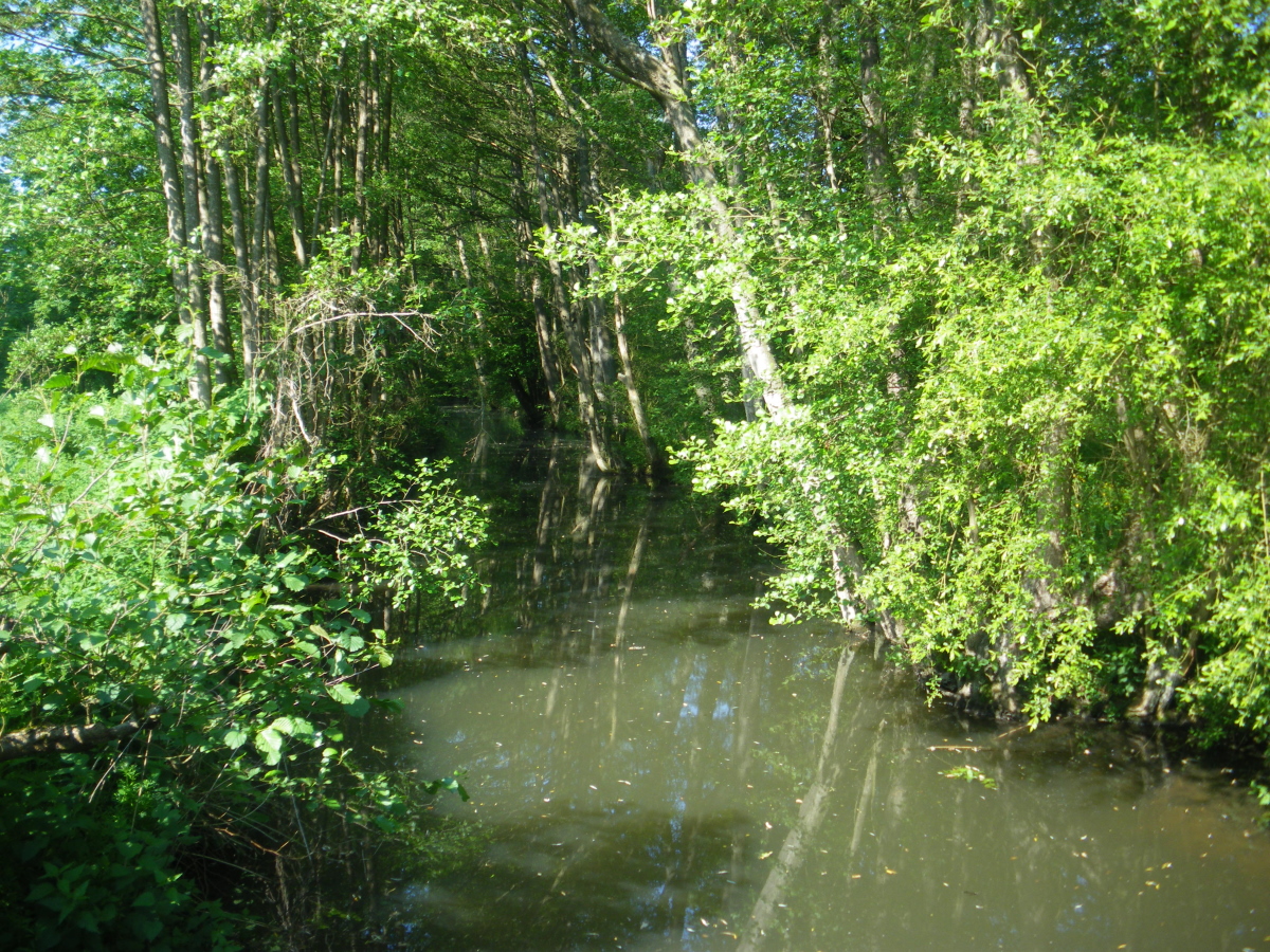 Extension du périmètre de l'ASARM