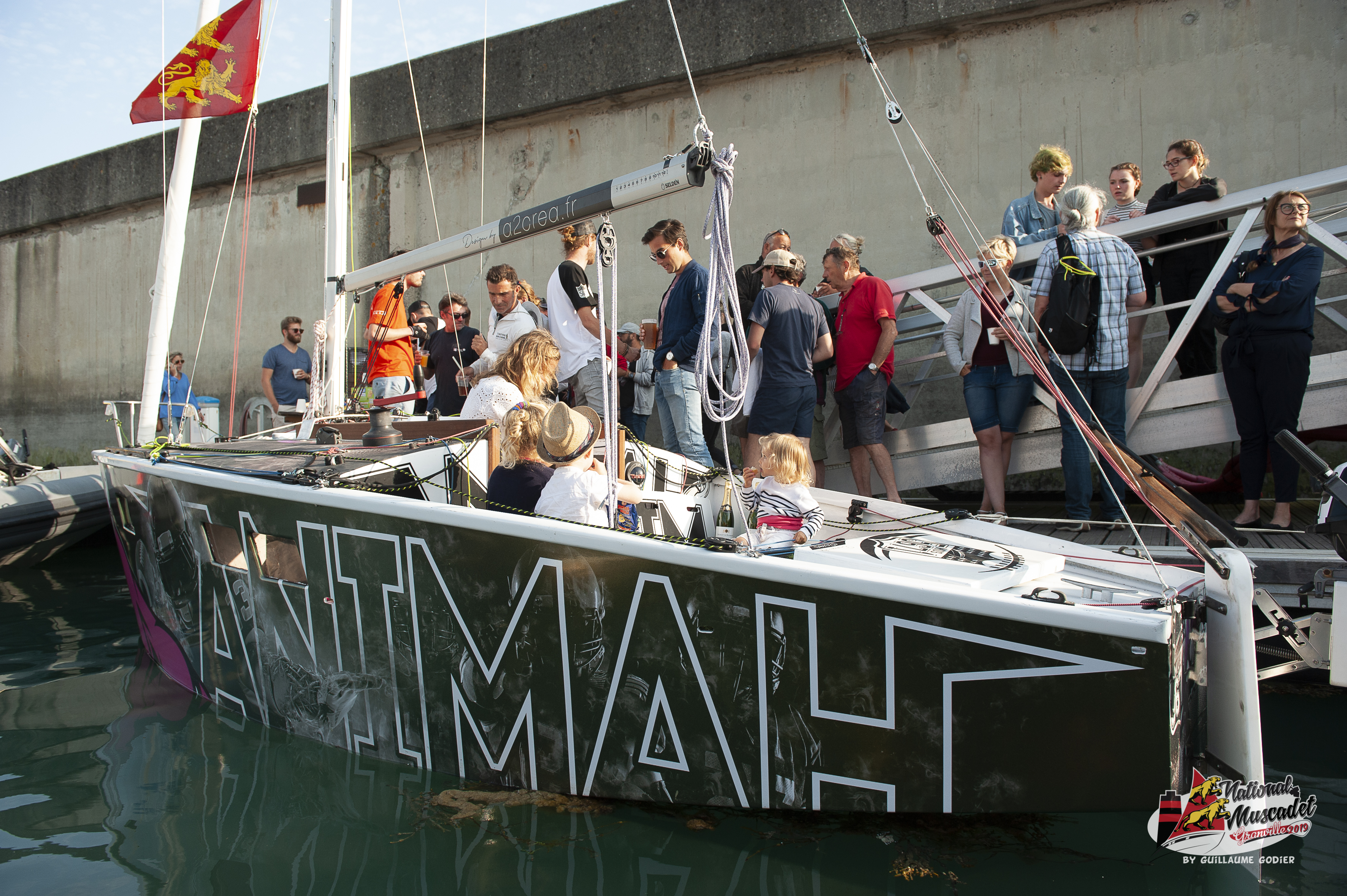 National muscadet 2019 hd 4