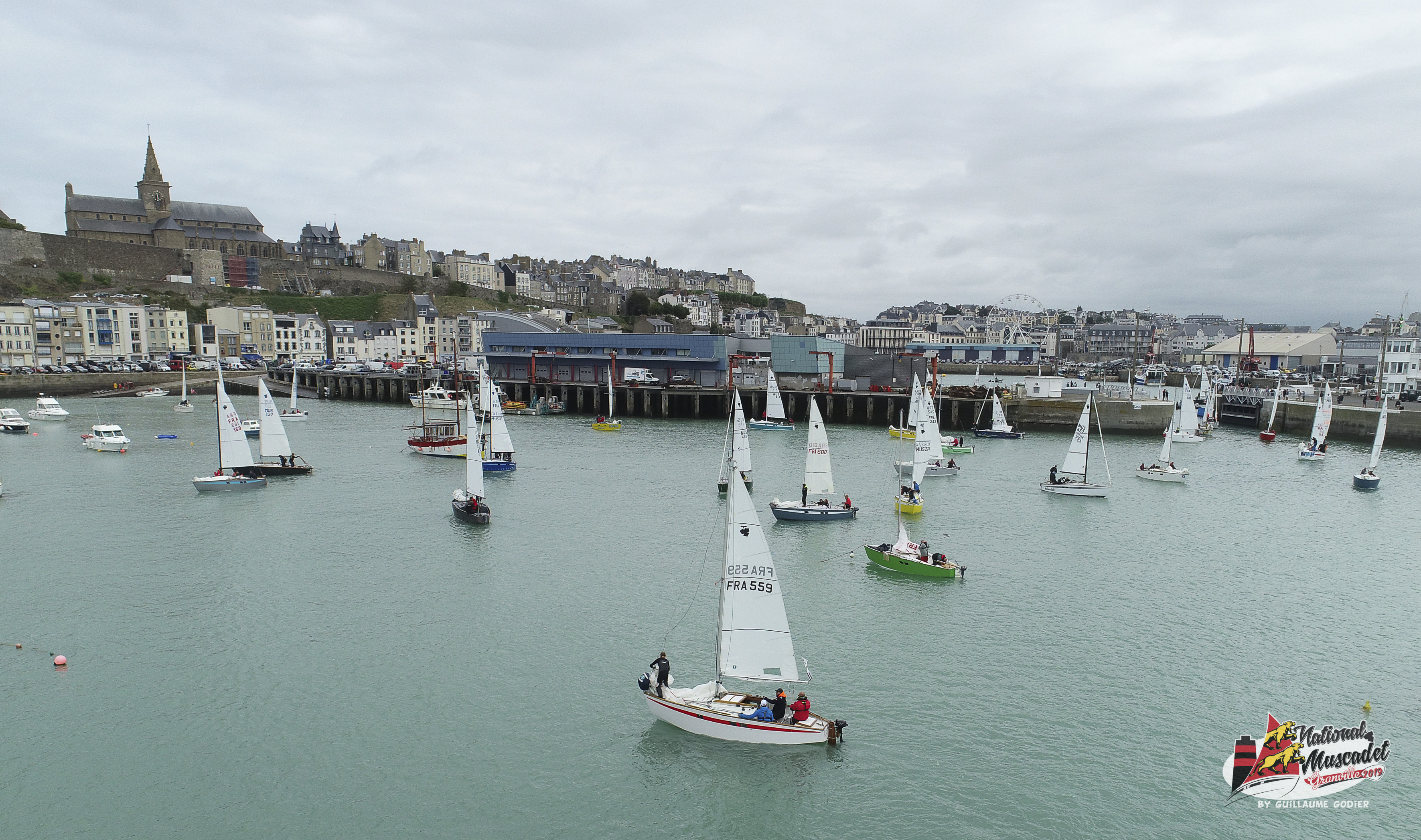 National muscadet 2019 hd 556