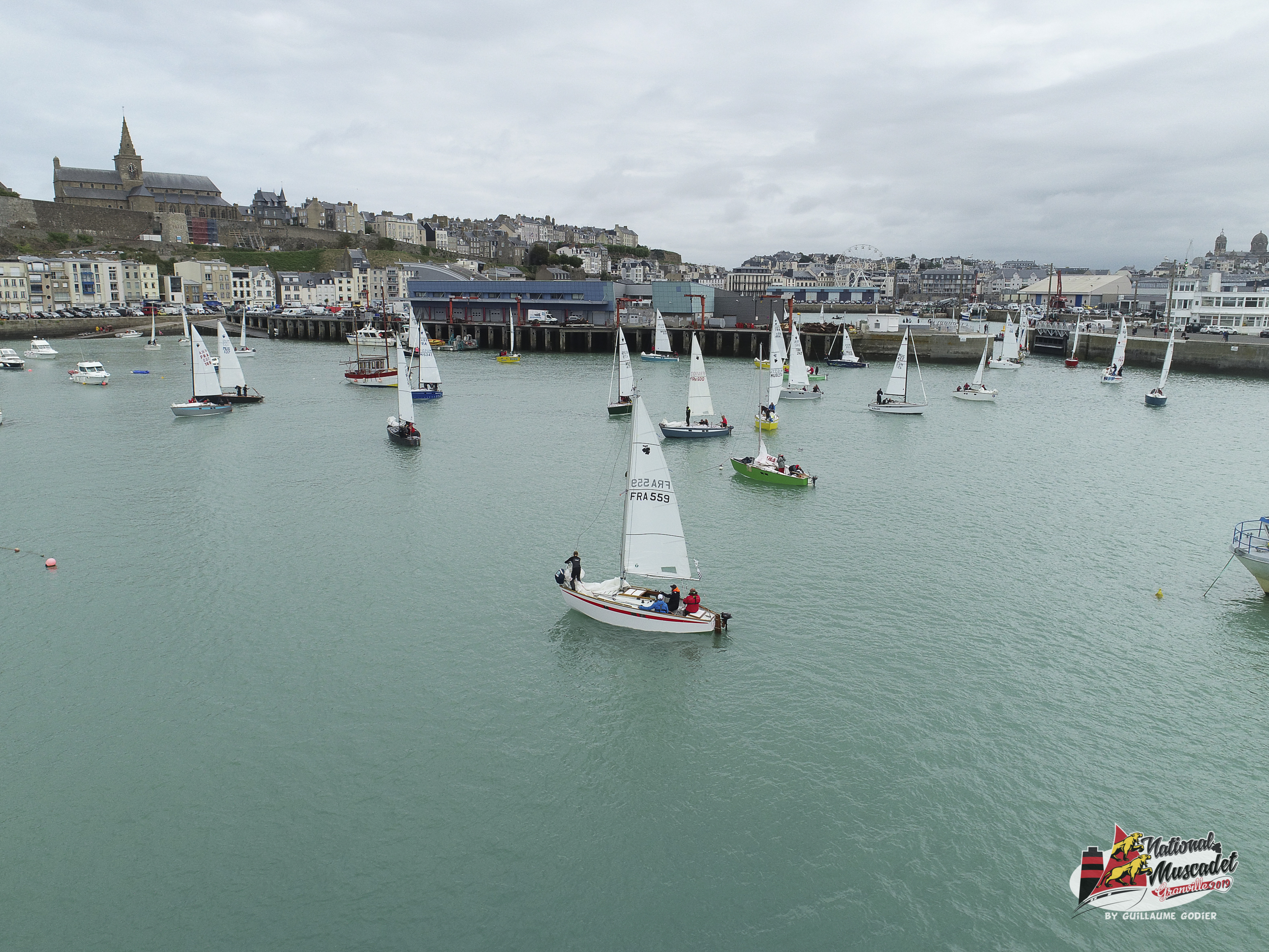 National muscadet 2019 hd 555