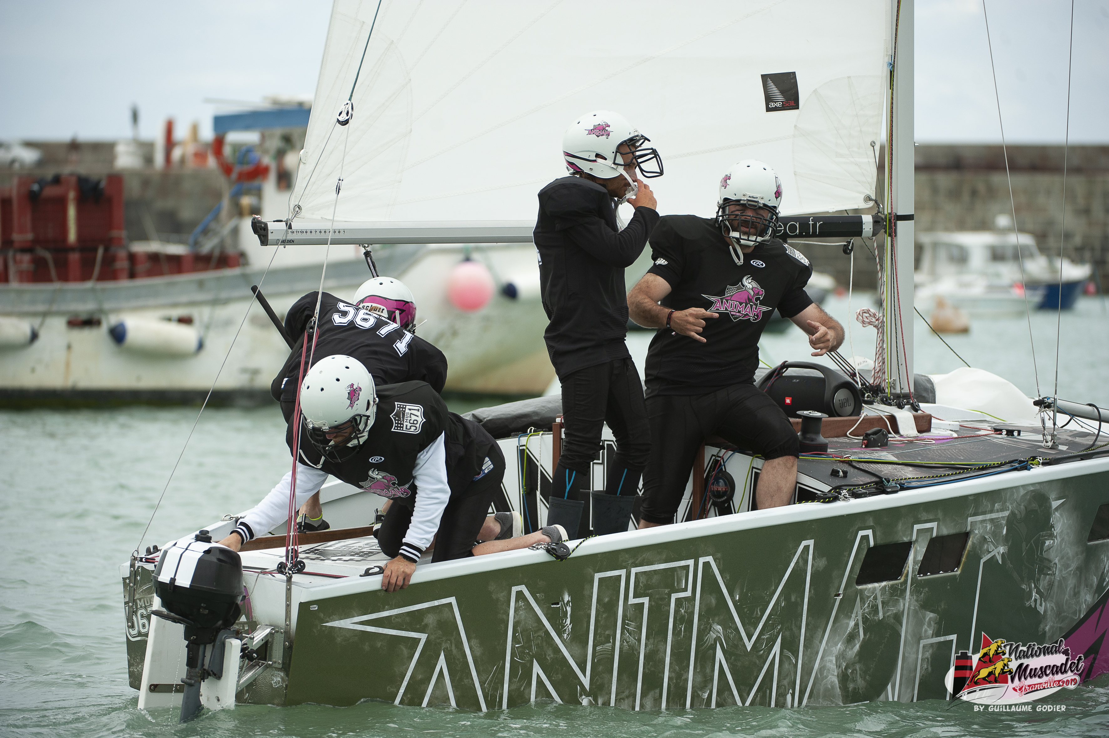 National muscadet 2019 hd 547