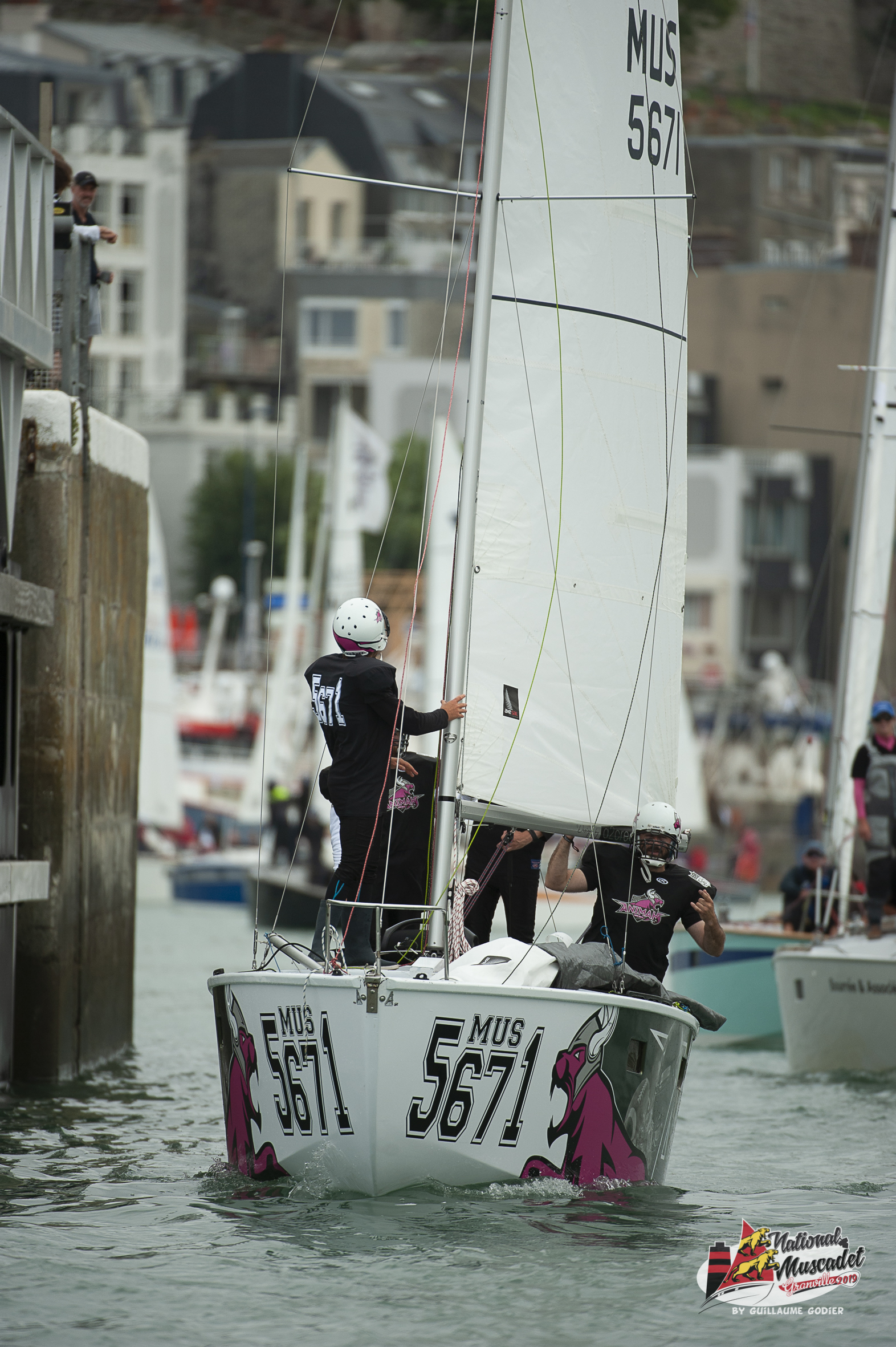 National muscadet 2019 hd 540