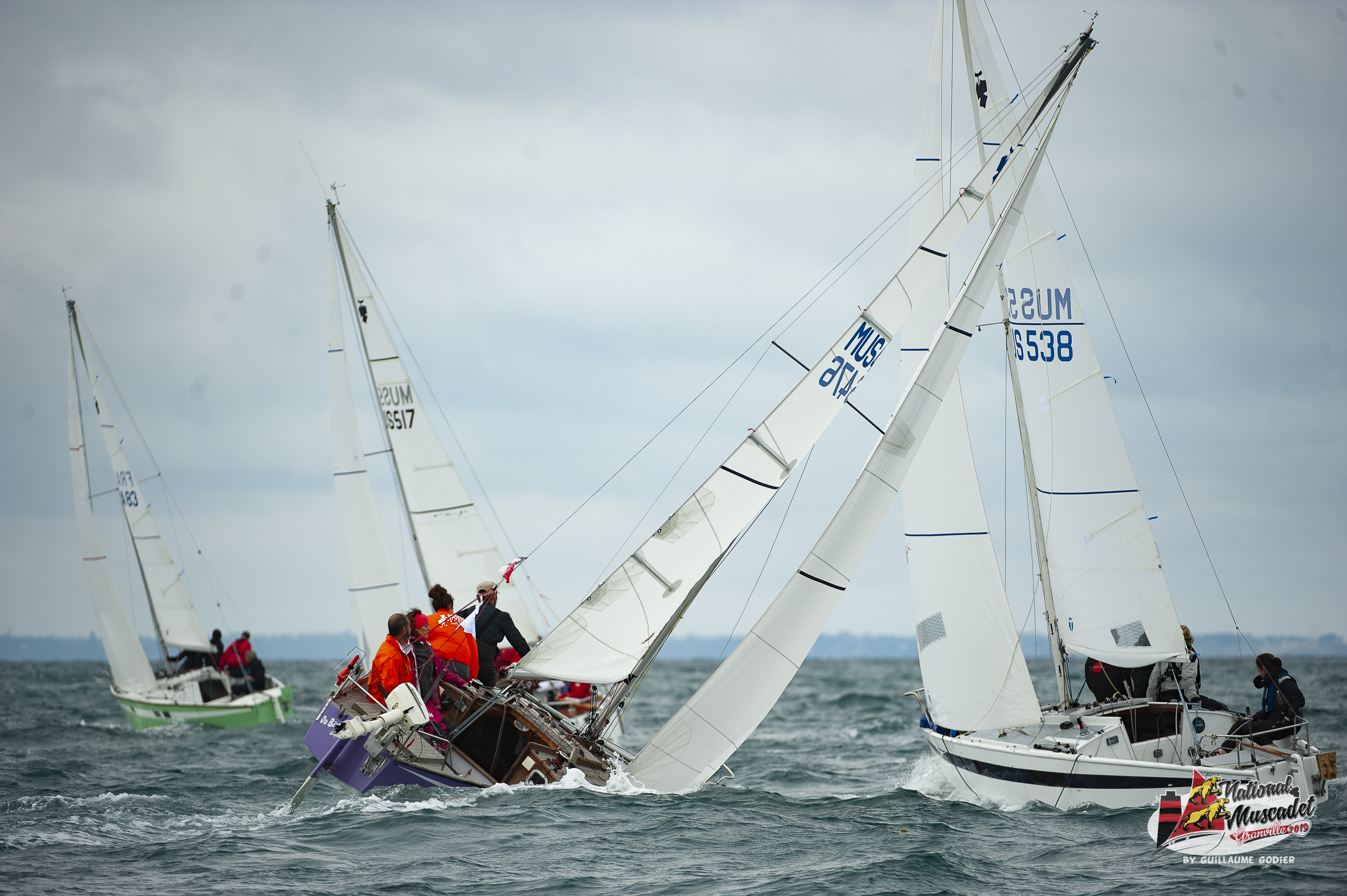 National muscadet 2019 hd 81