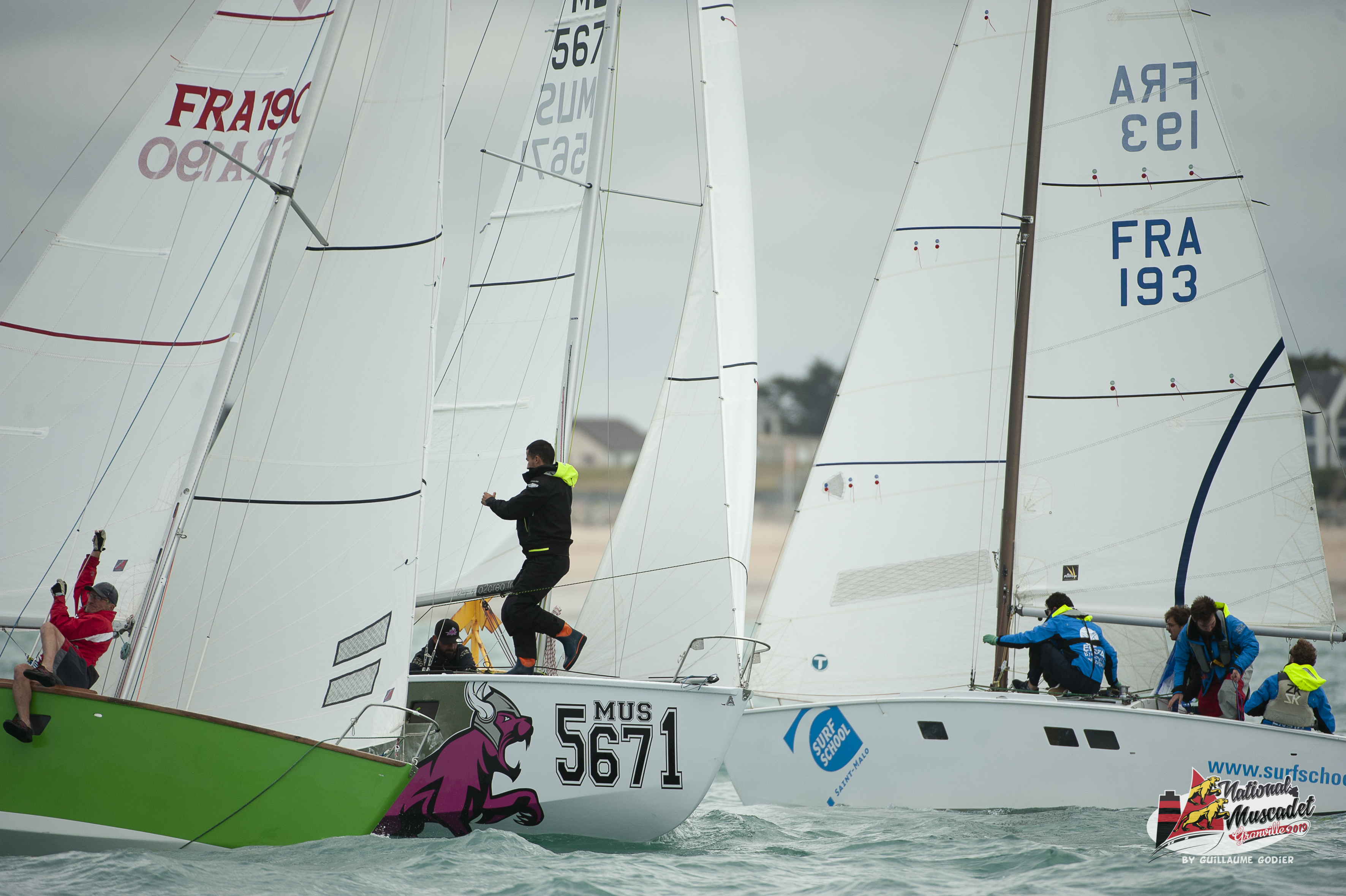 National muscadet 2019 hd 184