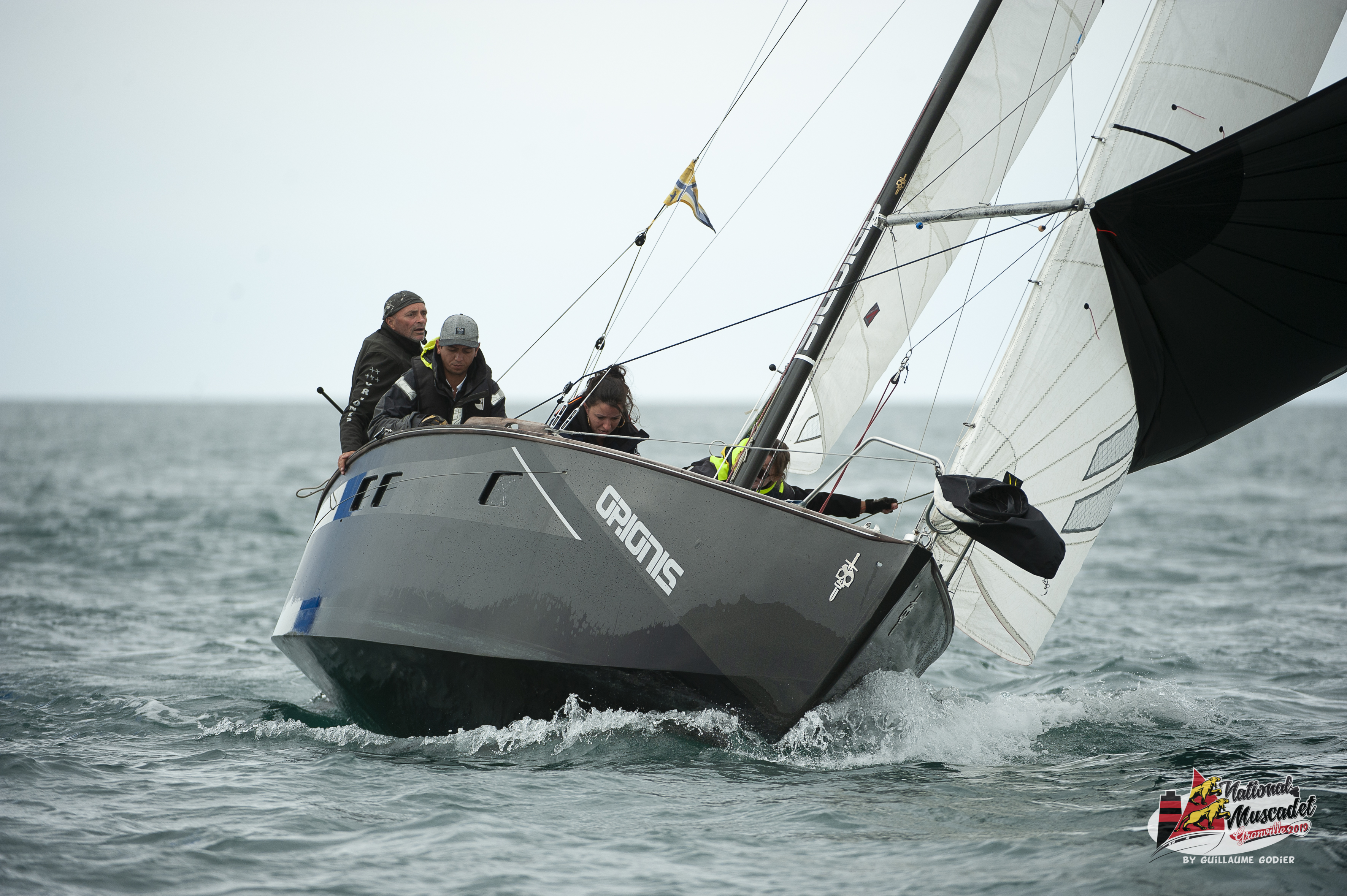 National muscadet 2019 hd 379