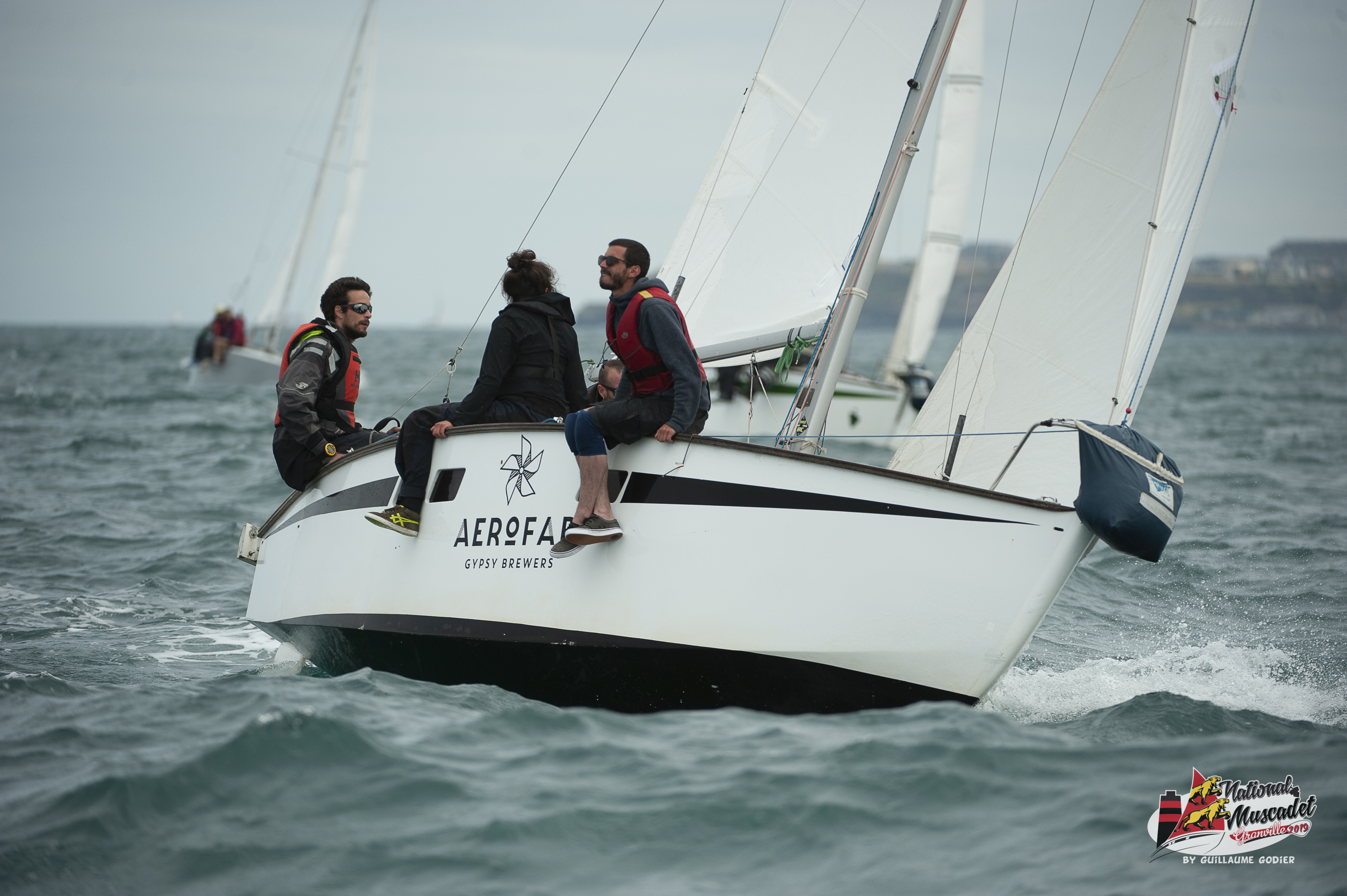 National muscadet 2019 hd 345