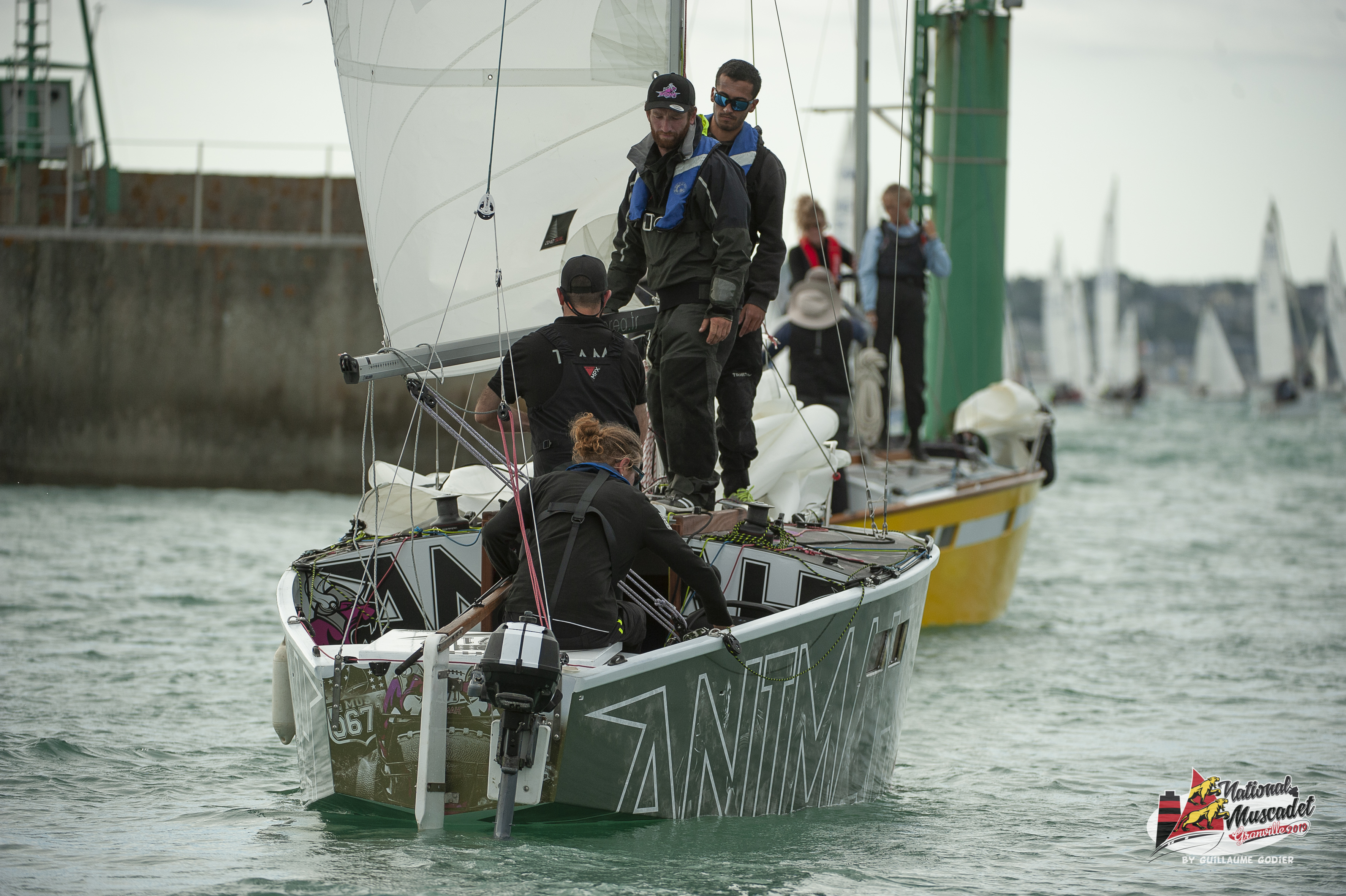 National muscadet 2019 hd 235