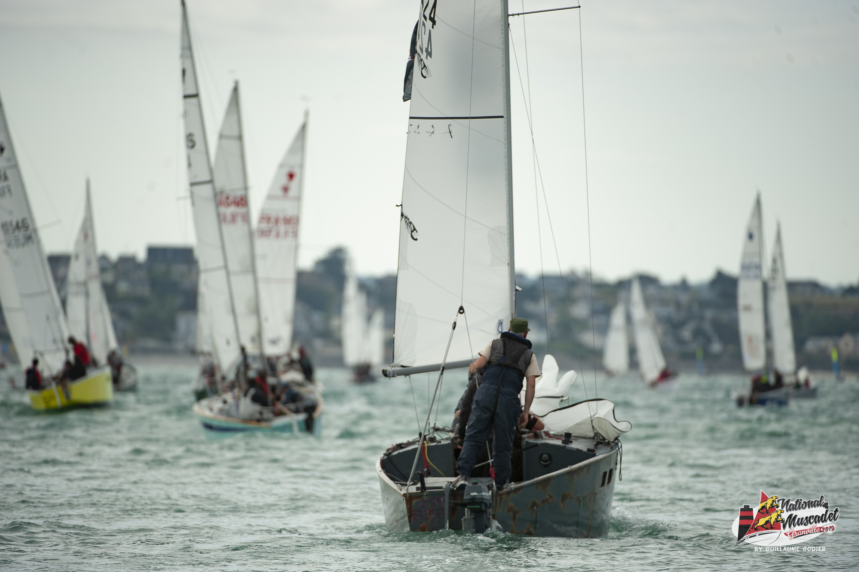National muscadet 2019 hd 233