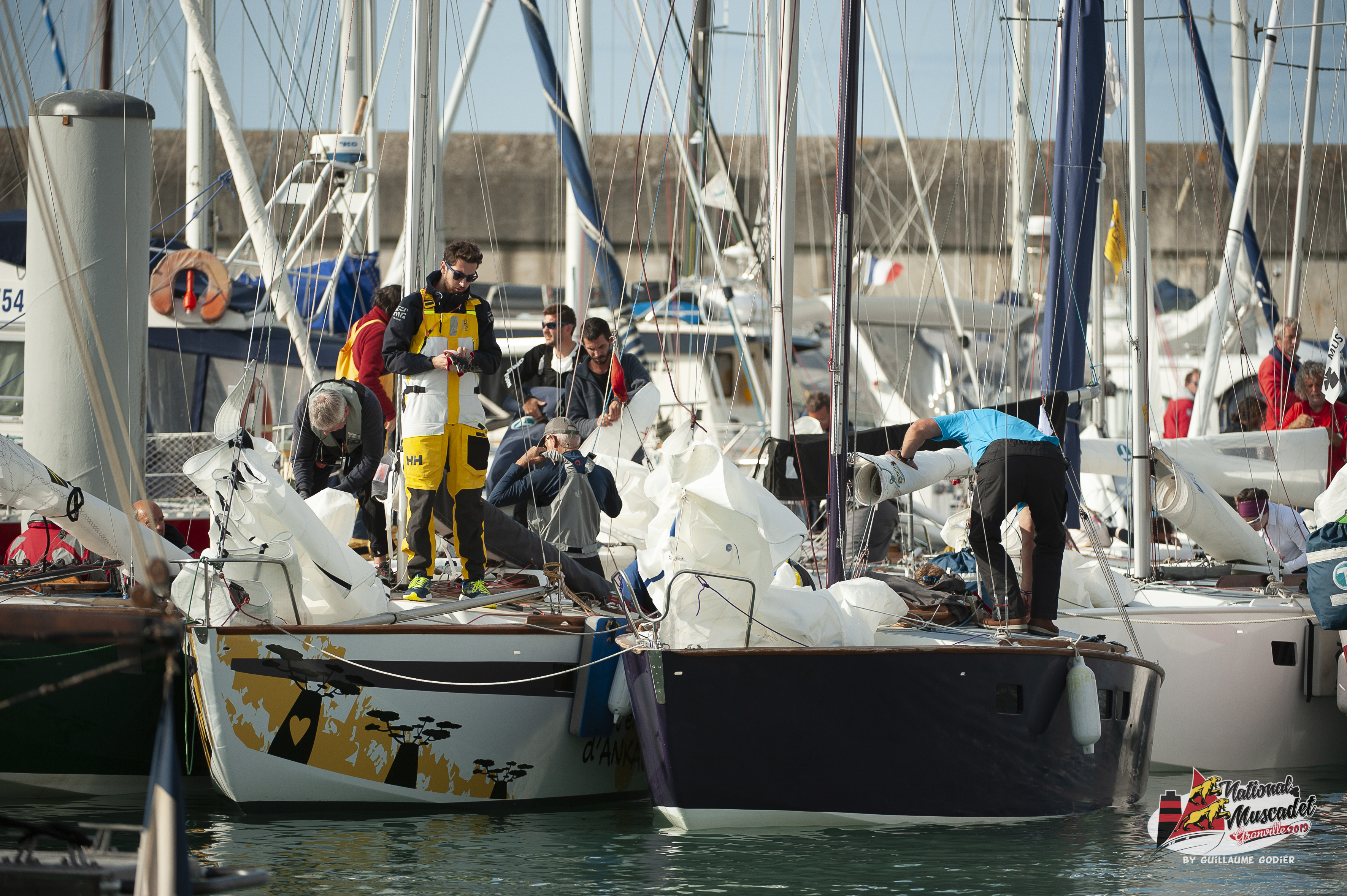 National muscadet 2019 hd 230