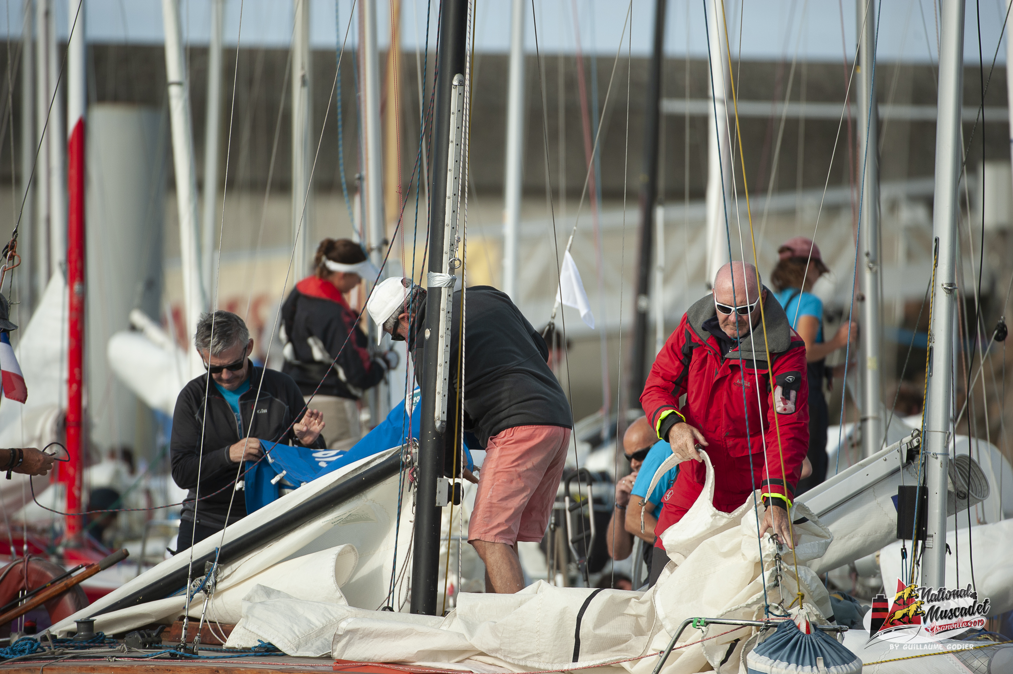National muscadet 2019 hd 224