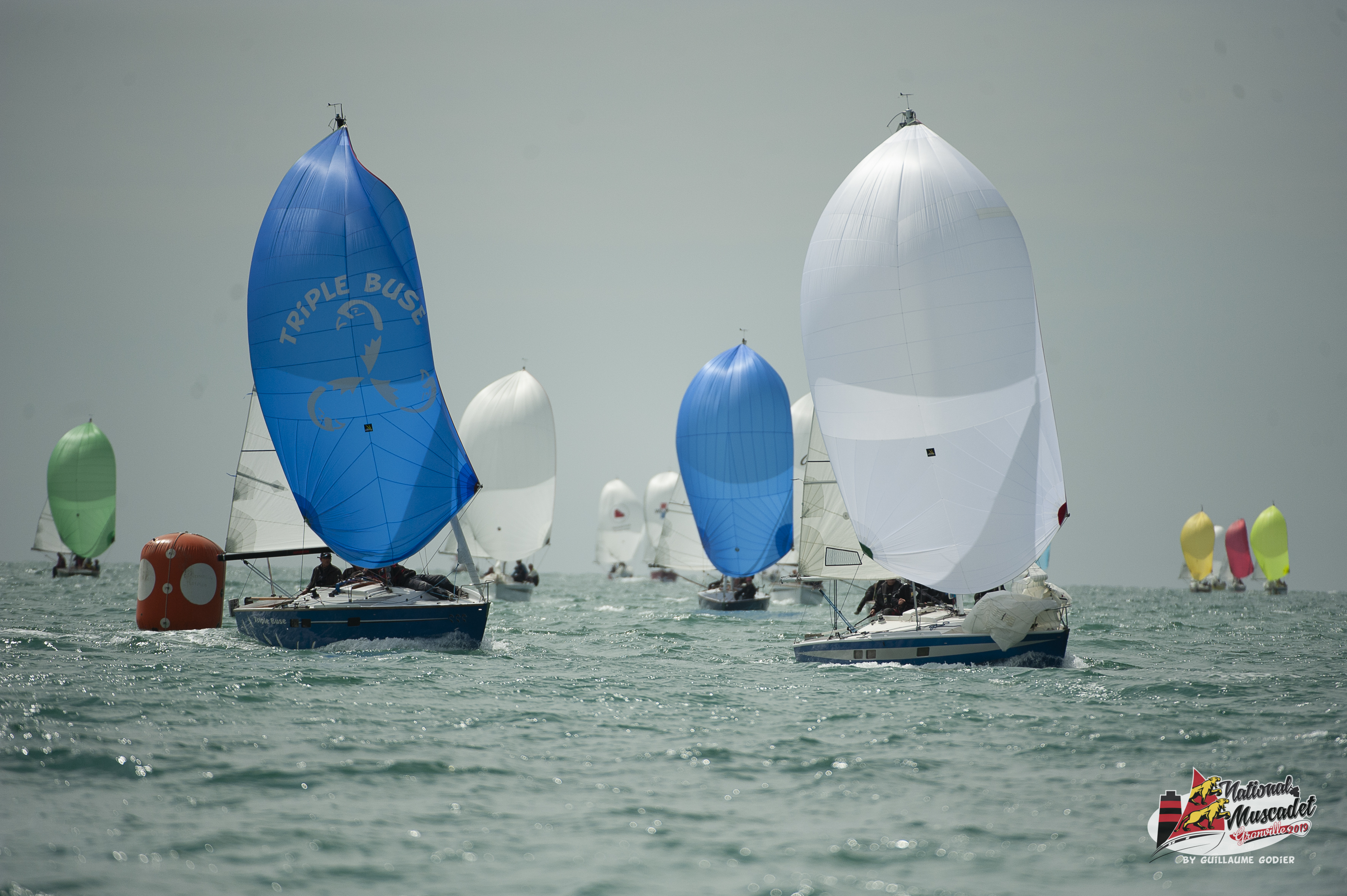 National muscadet 2019 hd 221