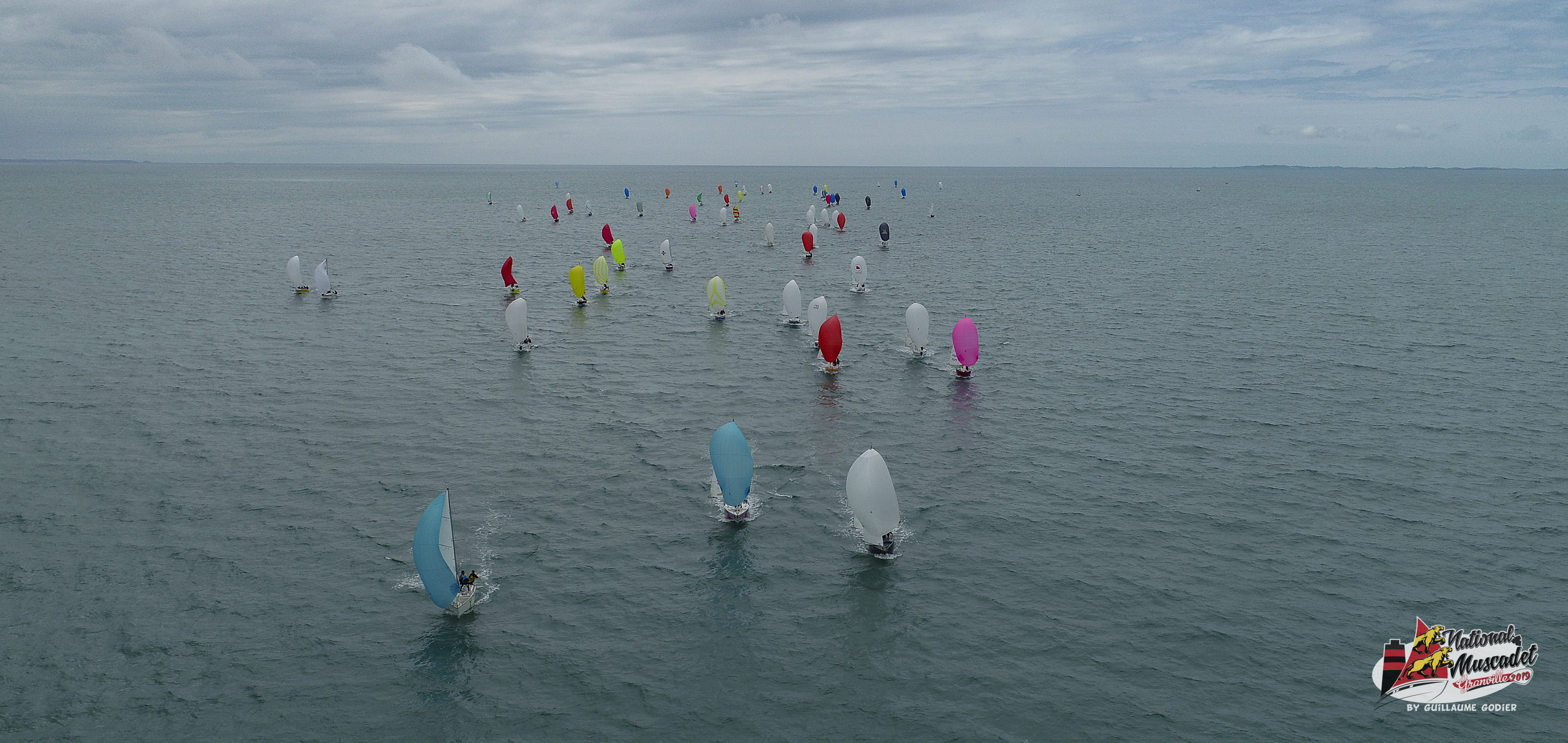 National muscadet 2019 hd 219