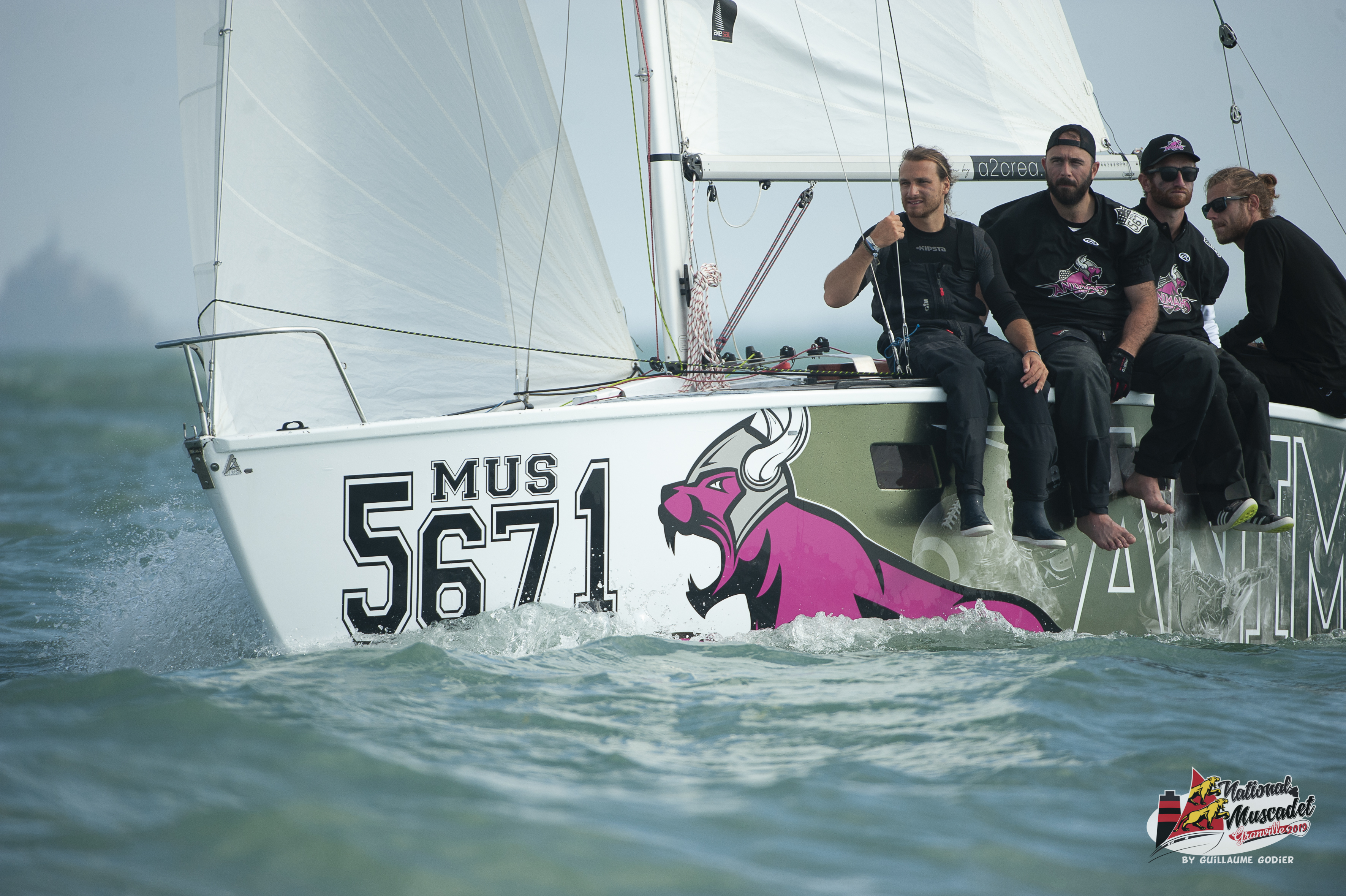 National muscadet 2019 hd 740