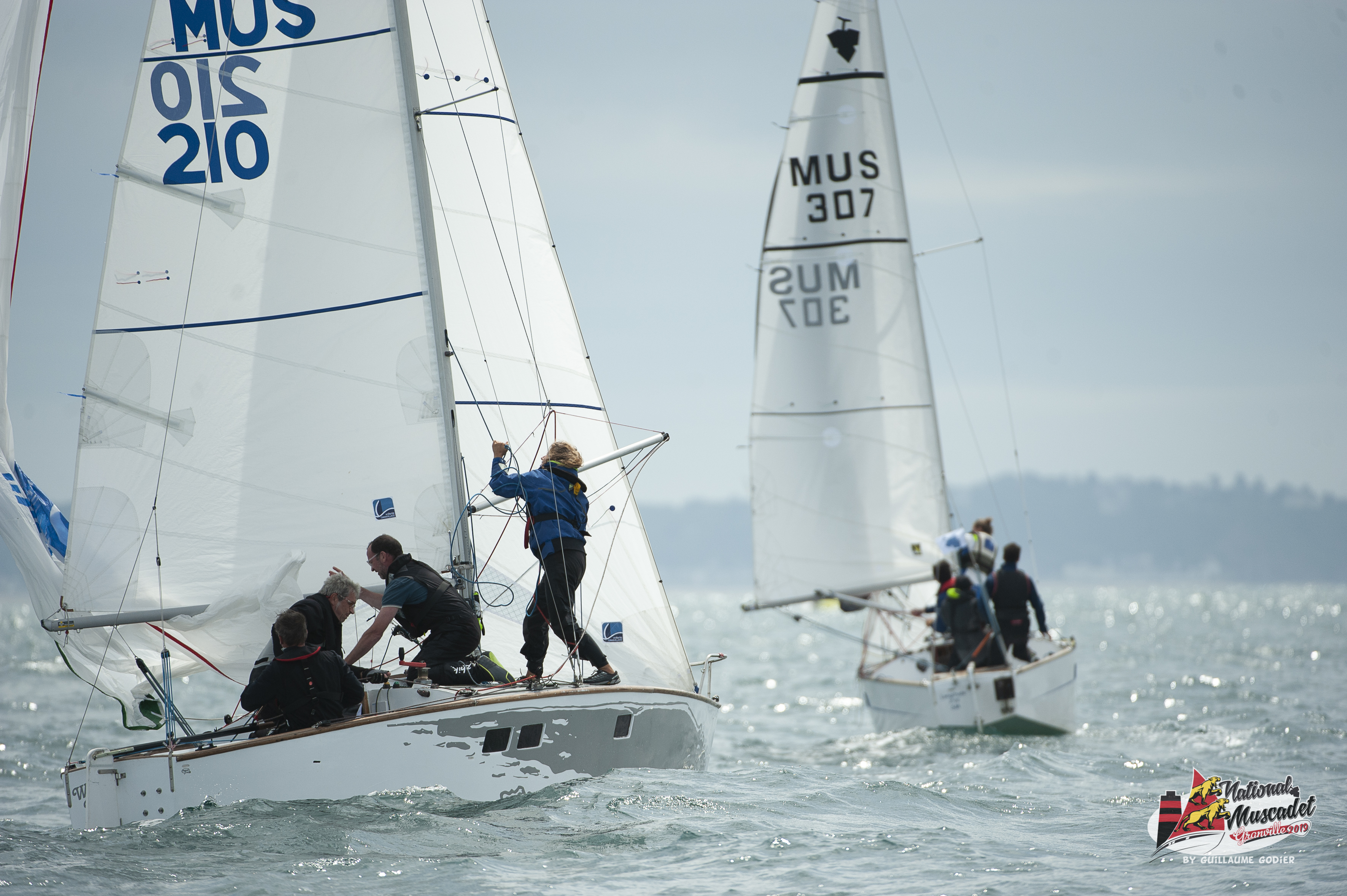 National muscadet 2019 hd 637