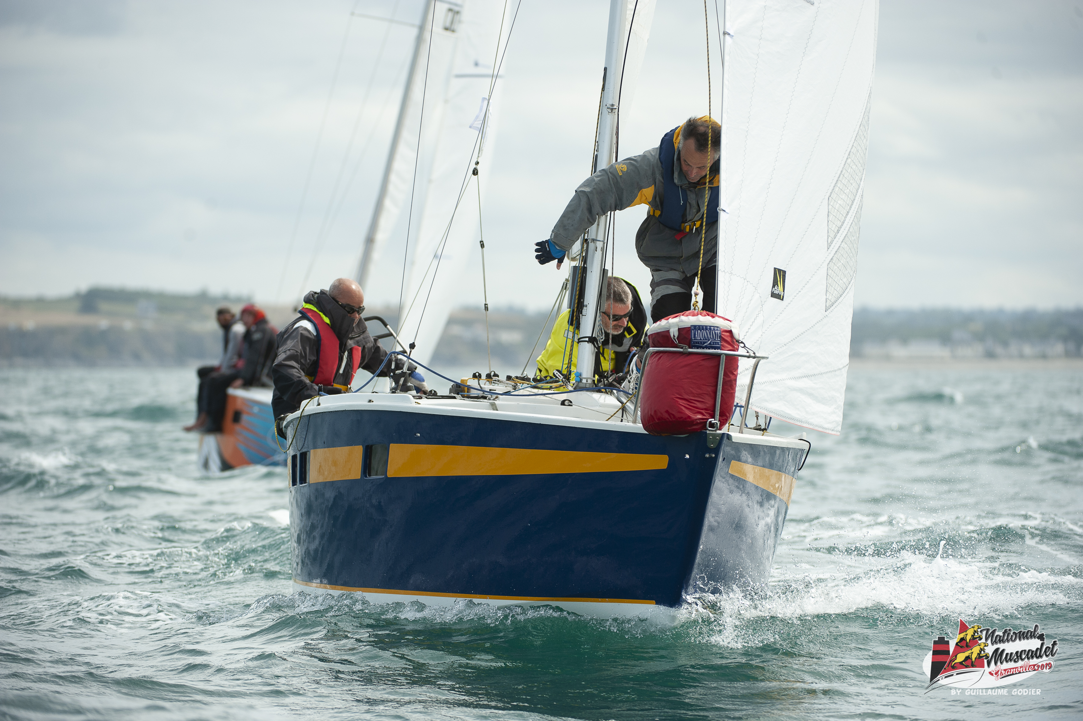 National muscadet 2019 hd 608