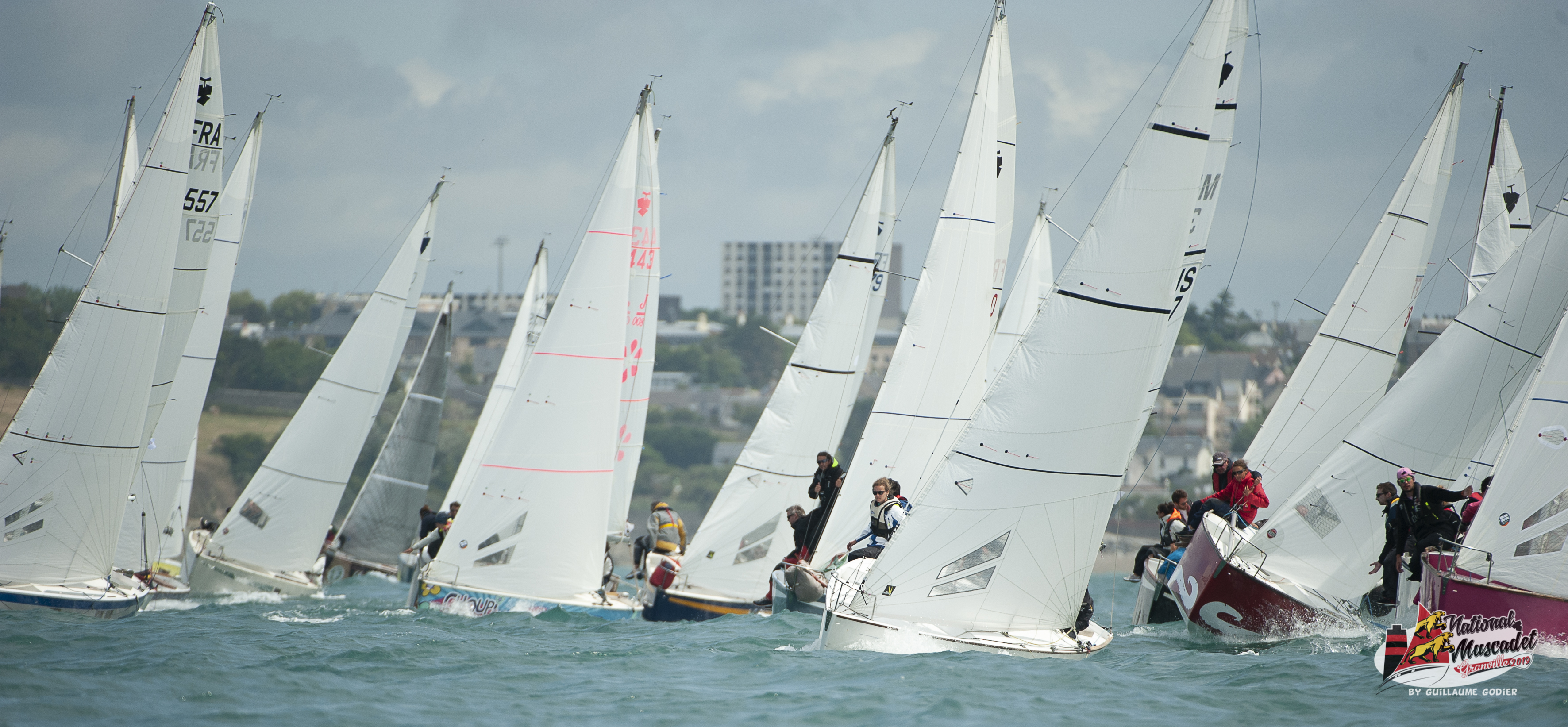 National muscadet 2019 hd 597