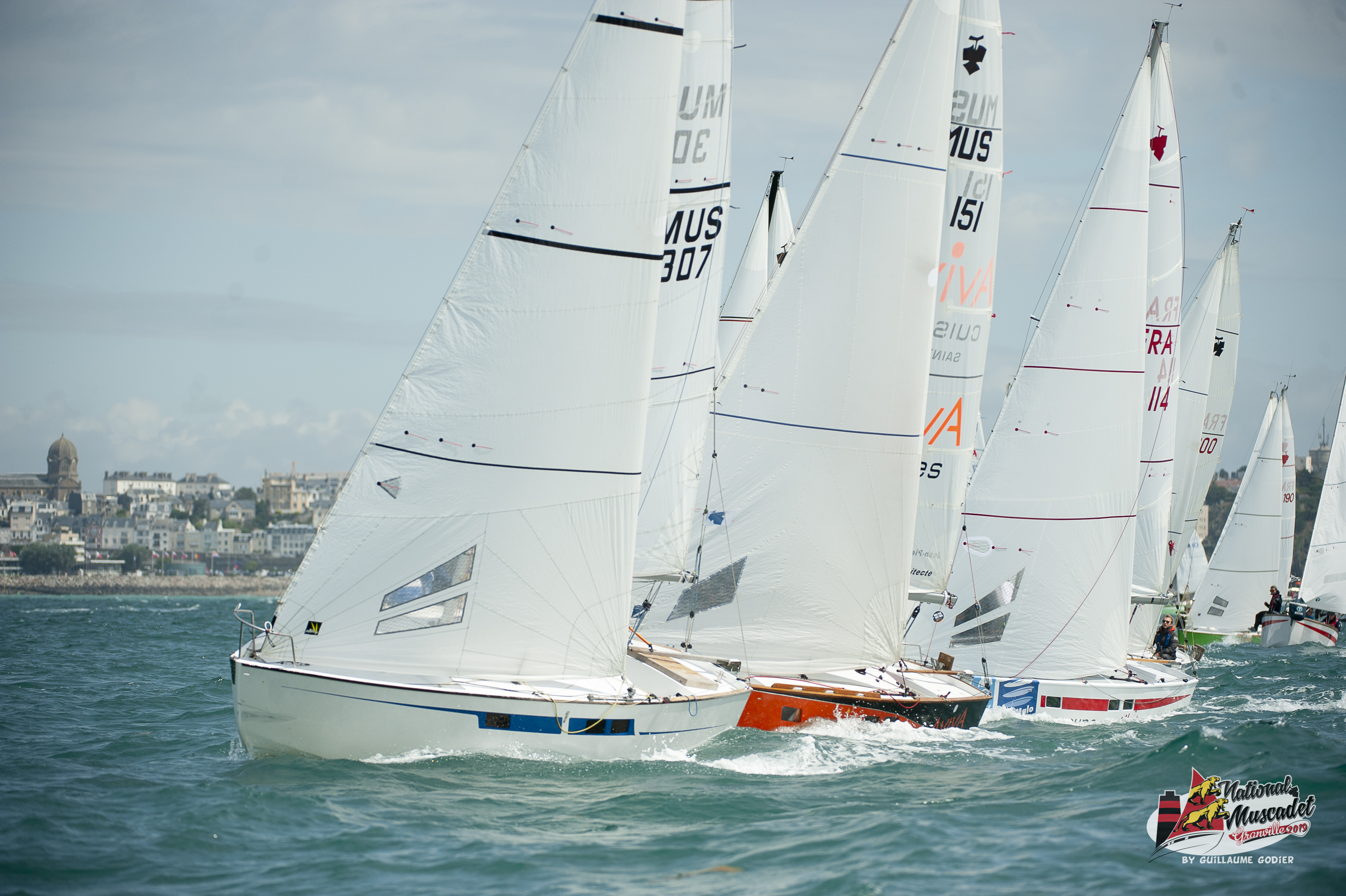 National muscadet 2019 hd 595