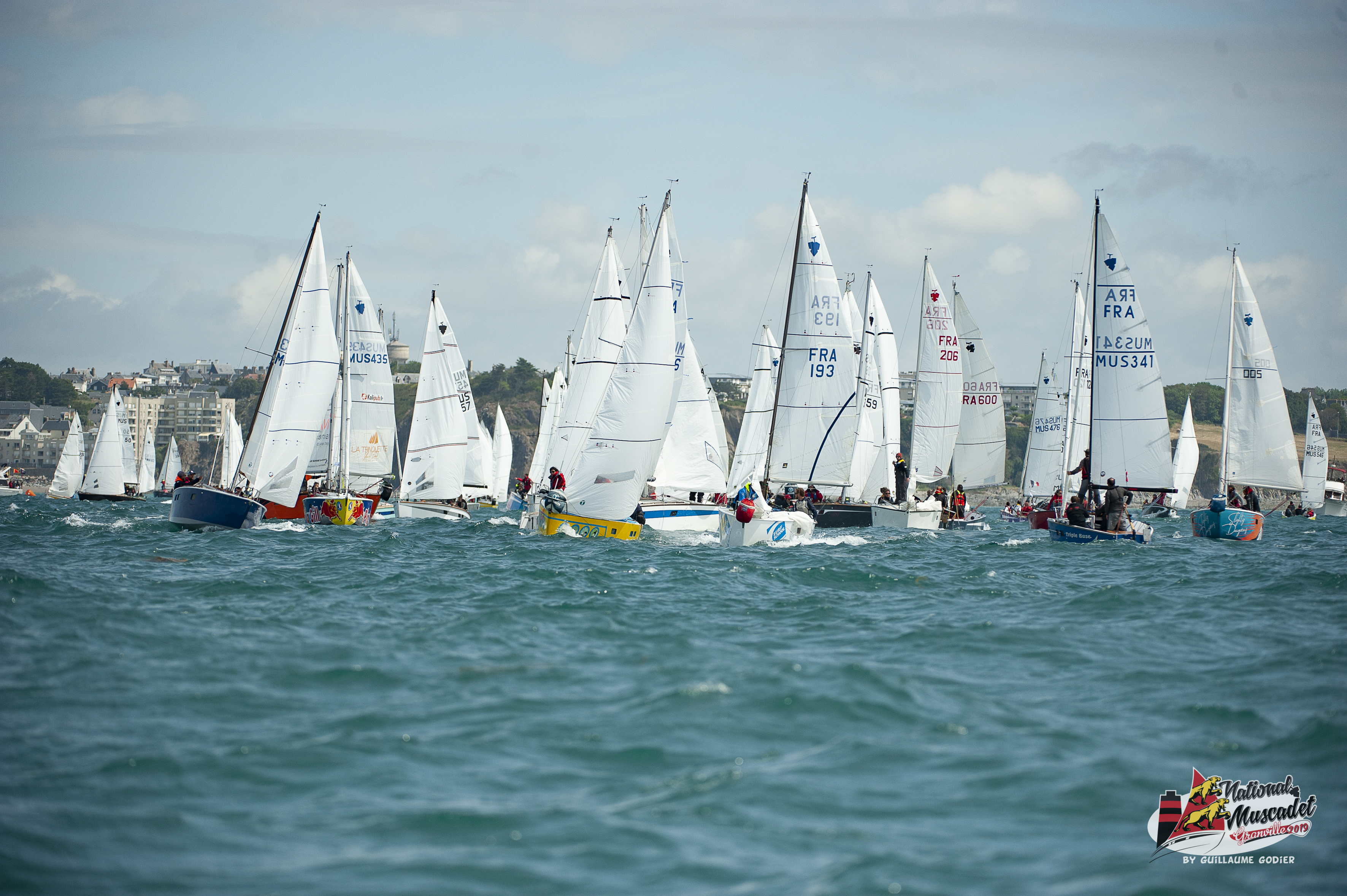 National muscadet 2019 hd 590