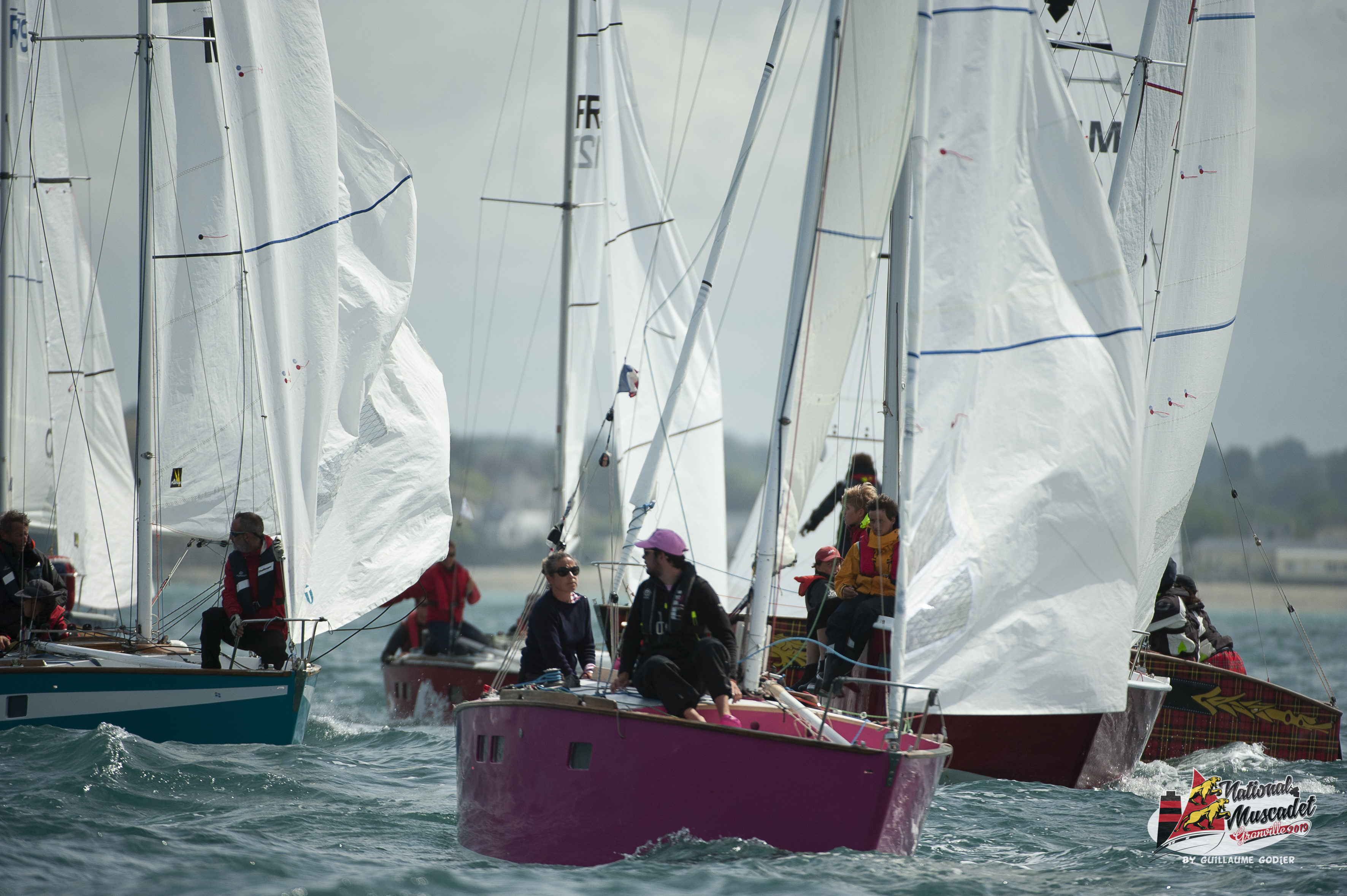 National muscadet 2019 hd 582