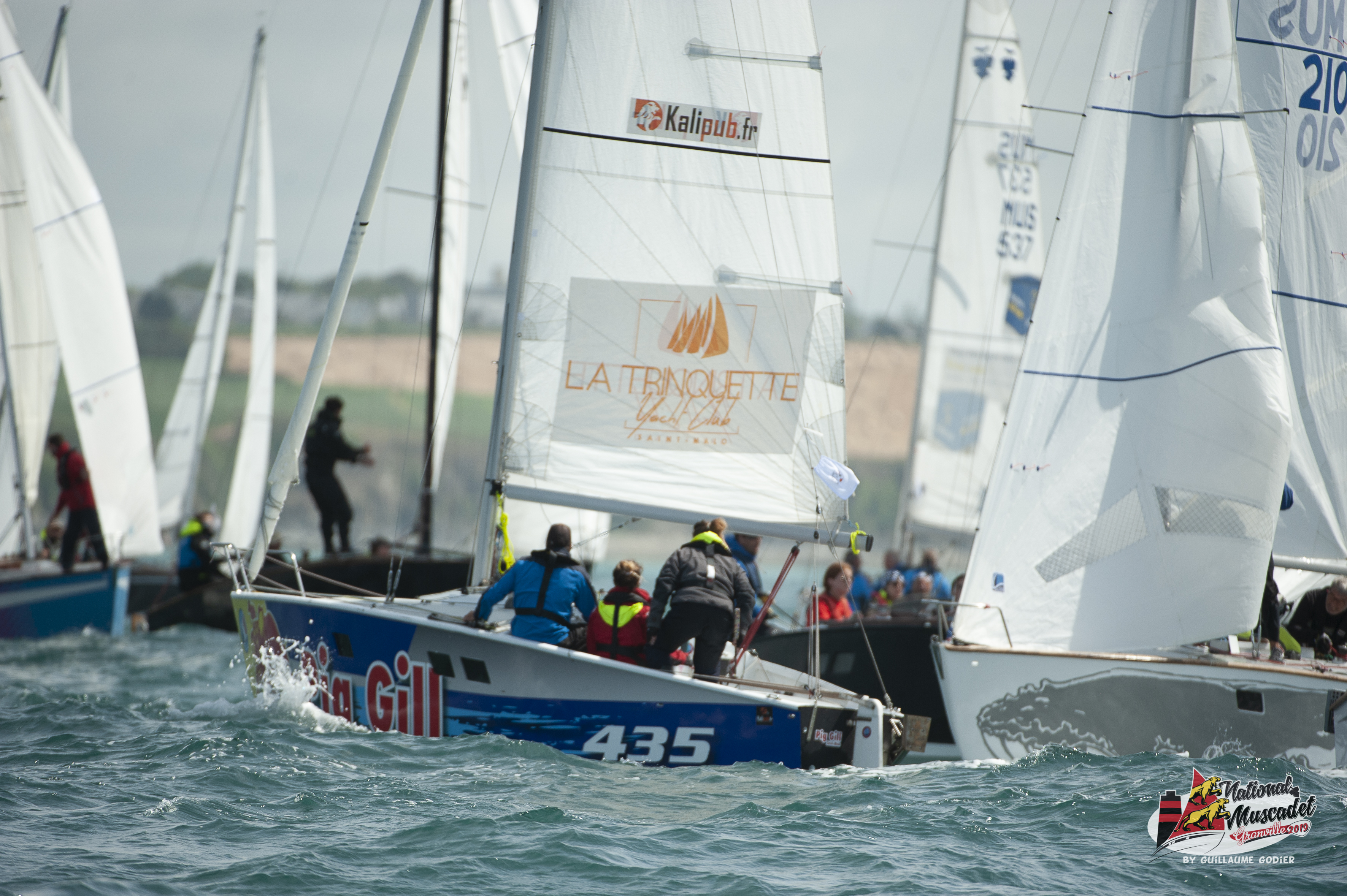 National muscadet 2019 hd 581