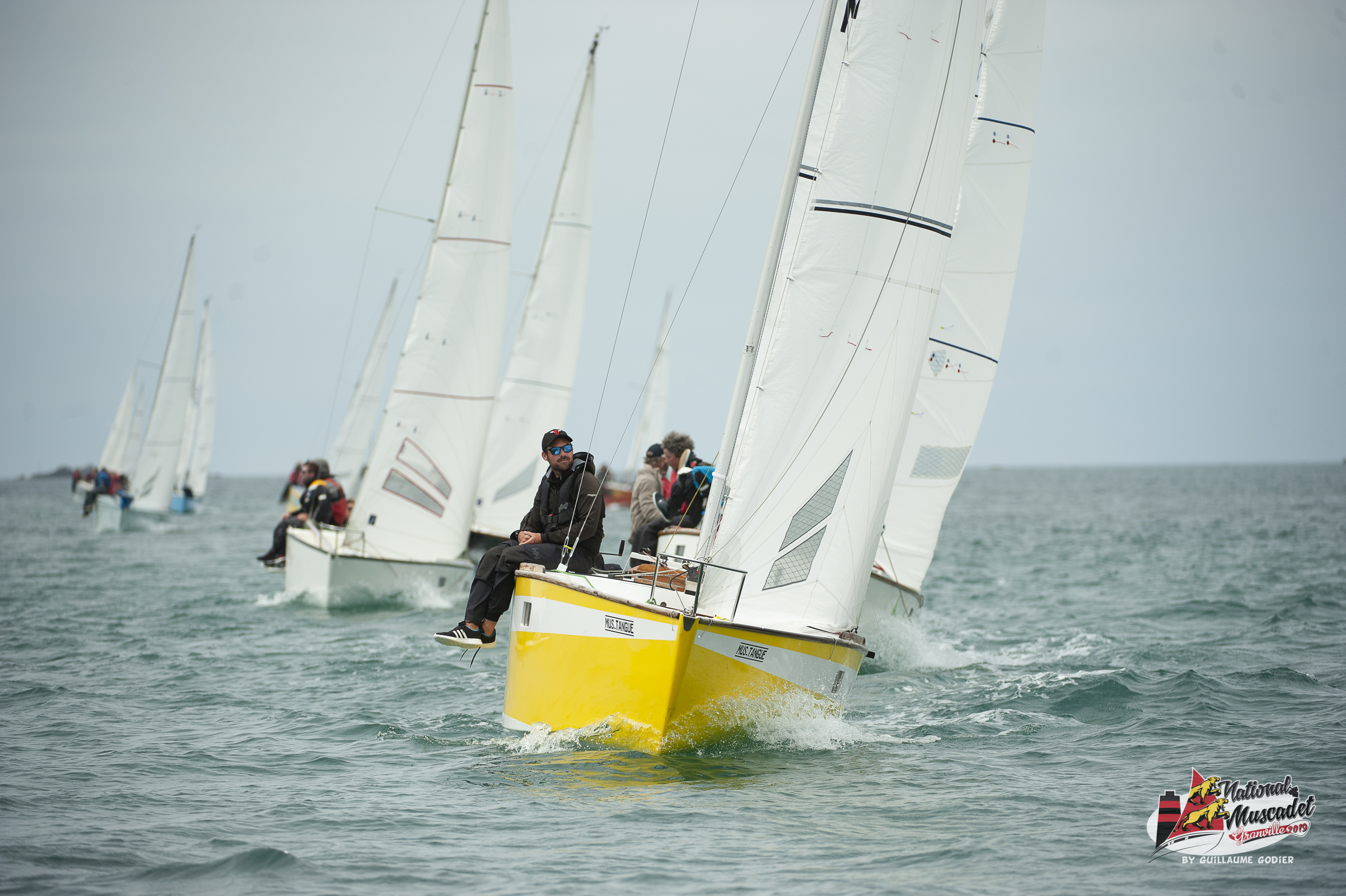 National muscadet 2019 hd 437