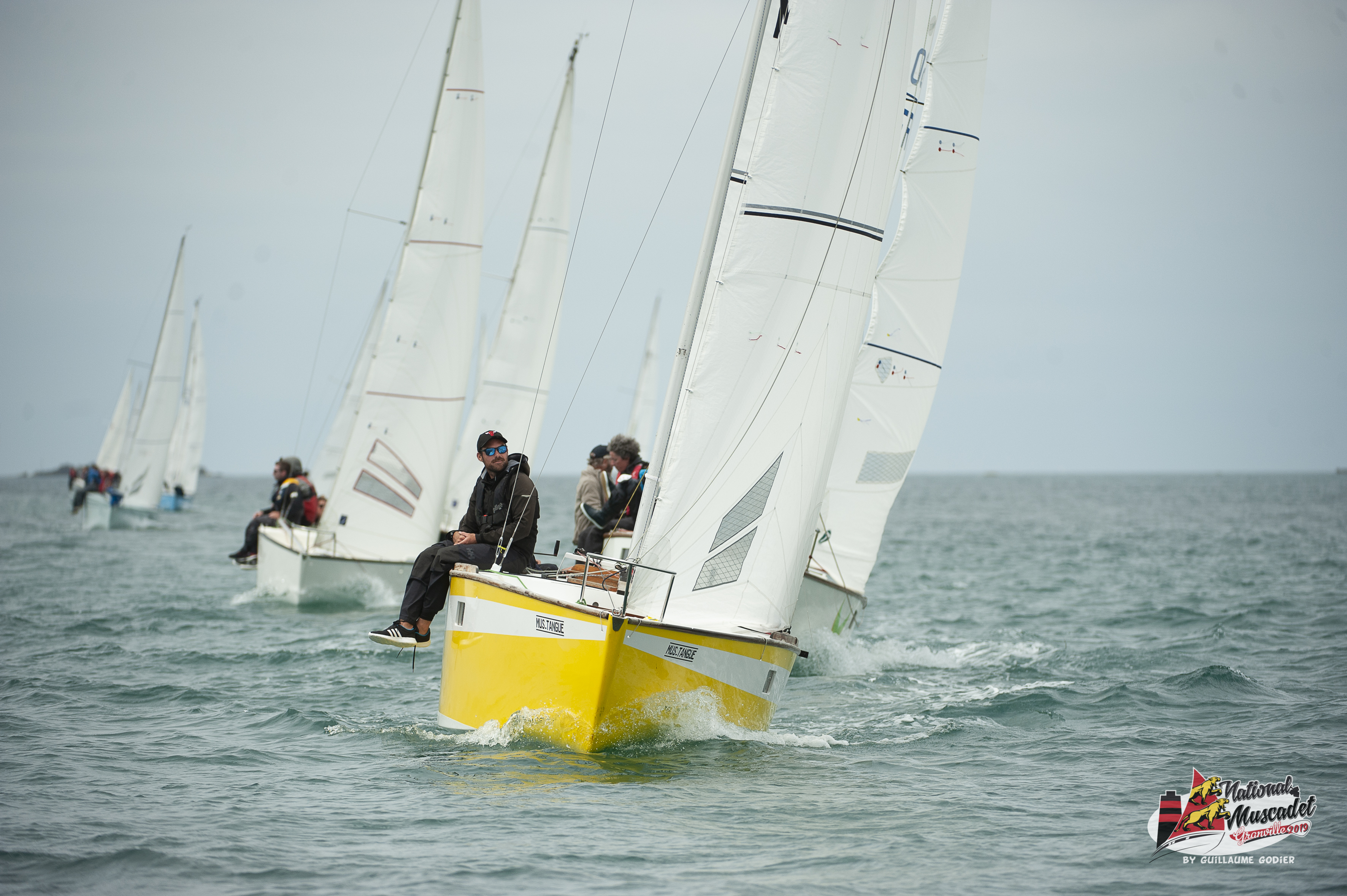 National muscadet 2019 hd 436