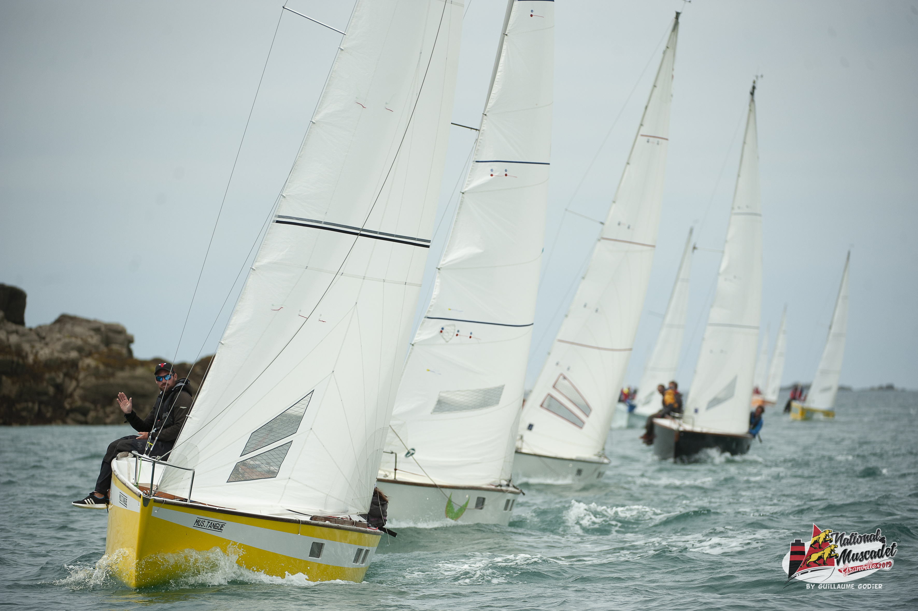 National muscadet 2019 hd 435