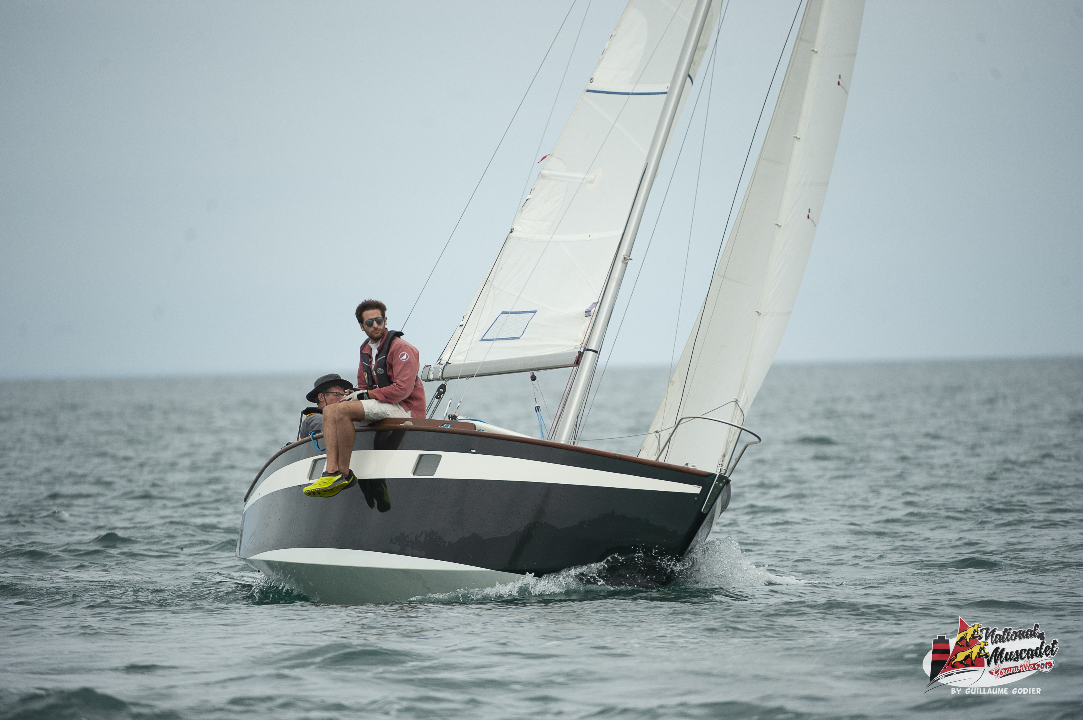 National muscadet 2019 hd 390