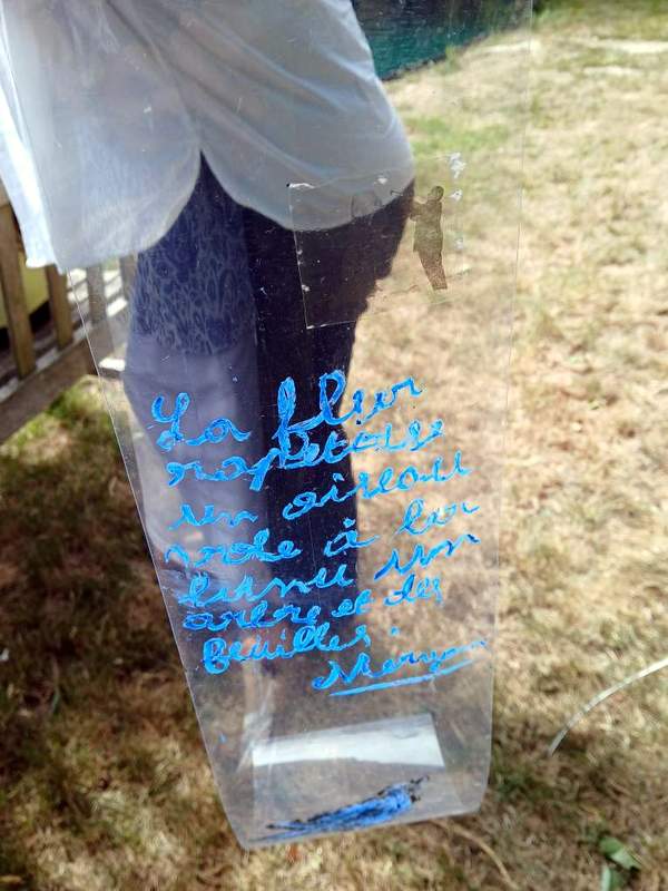 37 thumbnail resized 20250705 114240 1751724831560