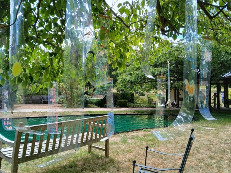 35 thumbnail resized 20250705 114107 1751723891186