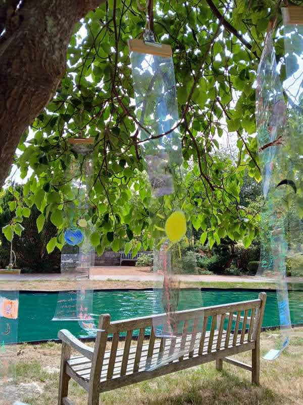 34 resized 20250705 114119 1751724789475