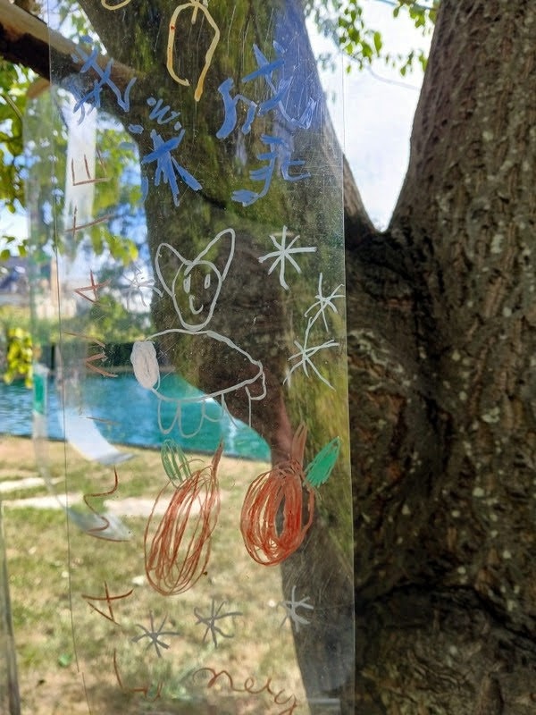 44 thumbnail resized 20250705 114913 1751724883783