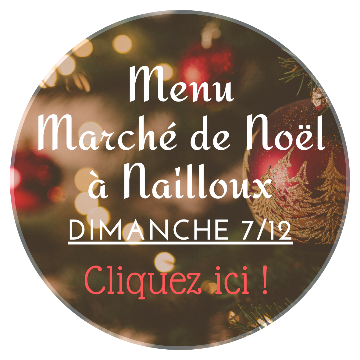 Copie-de-copie-de-copie-de-copie-de-copie-de-fete-de-montgard