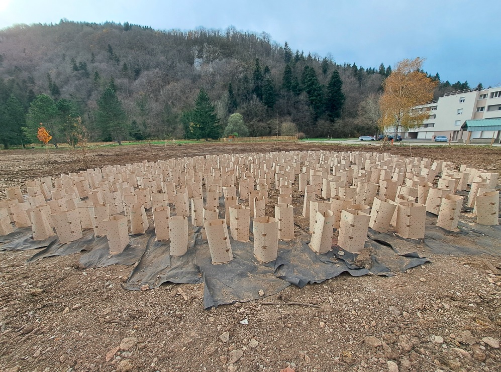 Samedi 22 novembre : chantier de clôture pour les plantations d'Oyonnax.