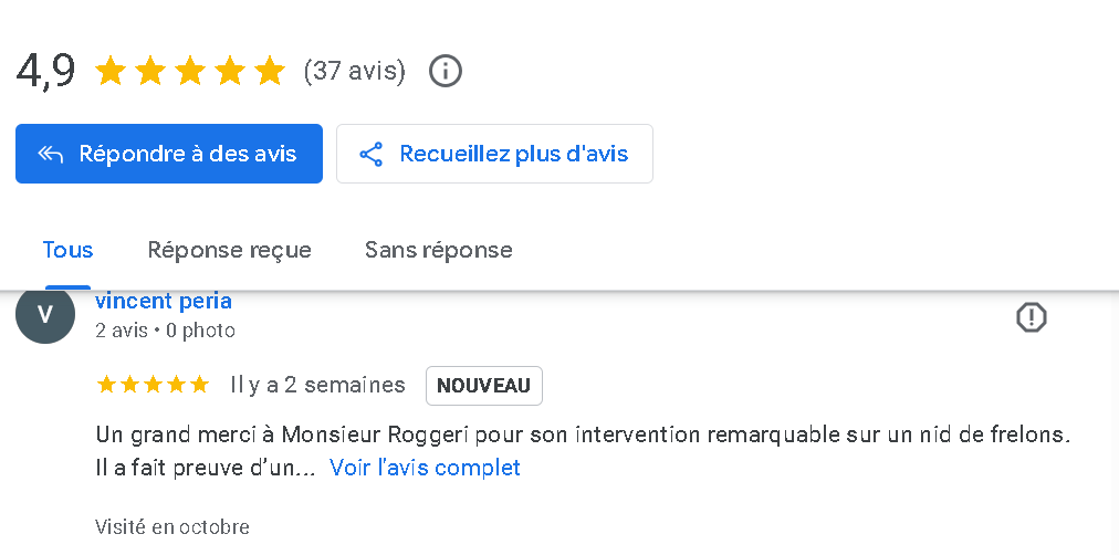 Avis Google