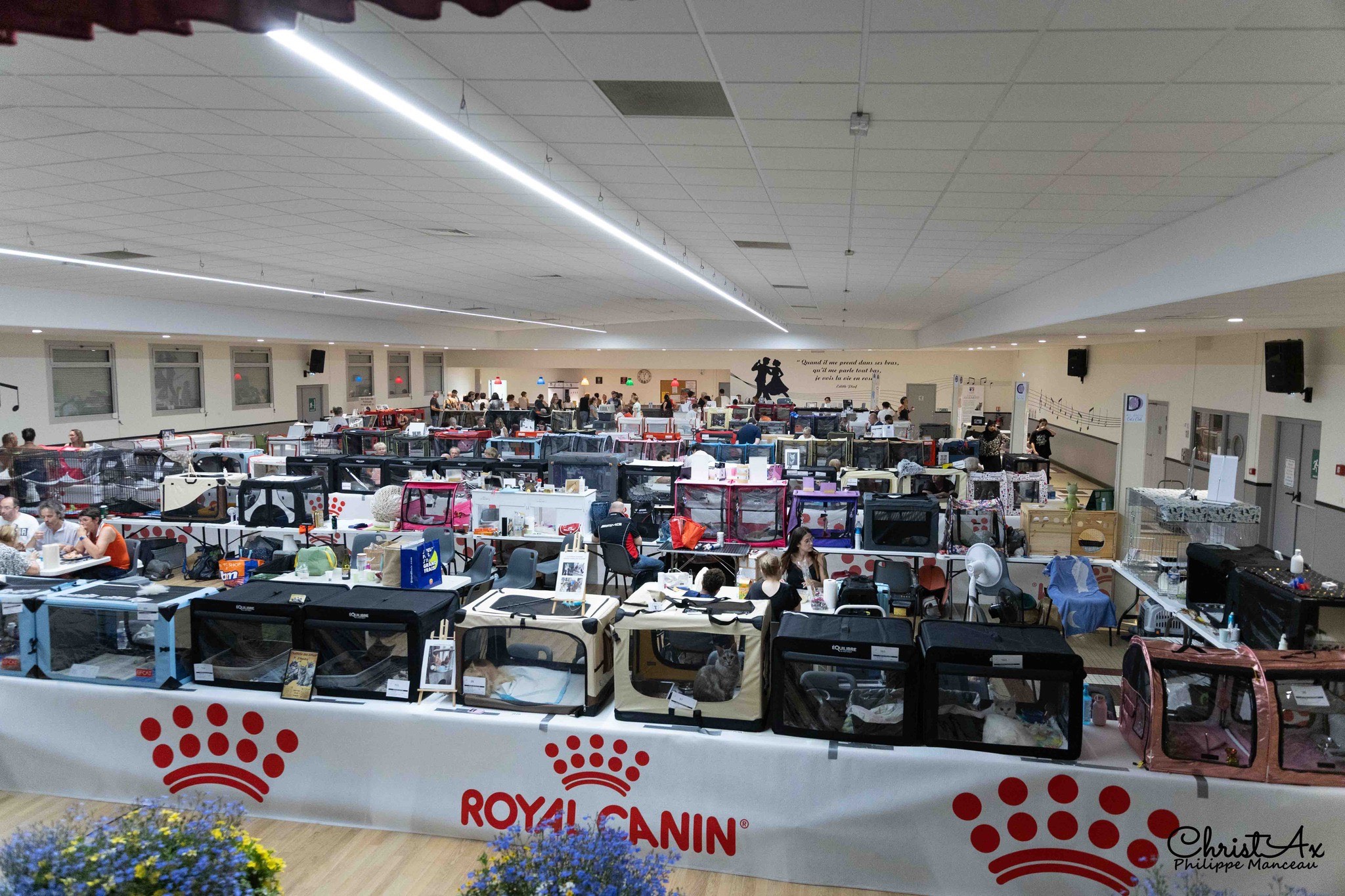 Photos Mulsanne 2025