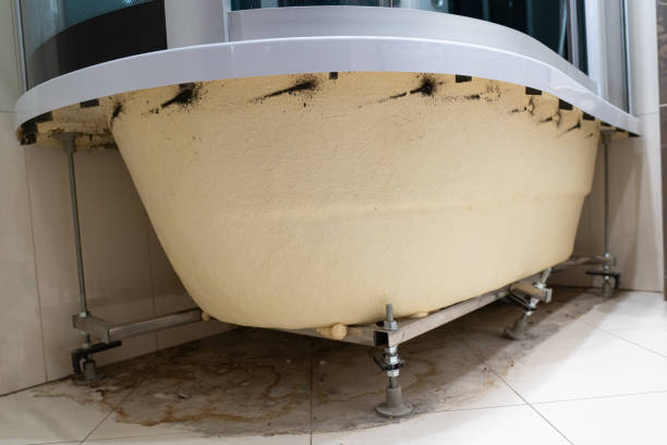 Istockphoto-1333110189-612x612