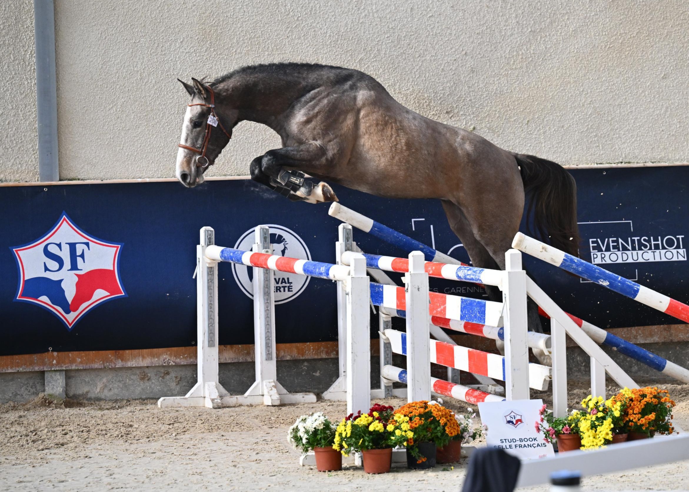 2025-11-04sfchazey-scea-d-aurois-newgrove-d-aurois-w93 1049