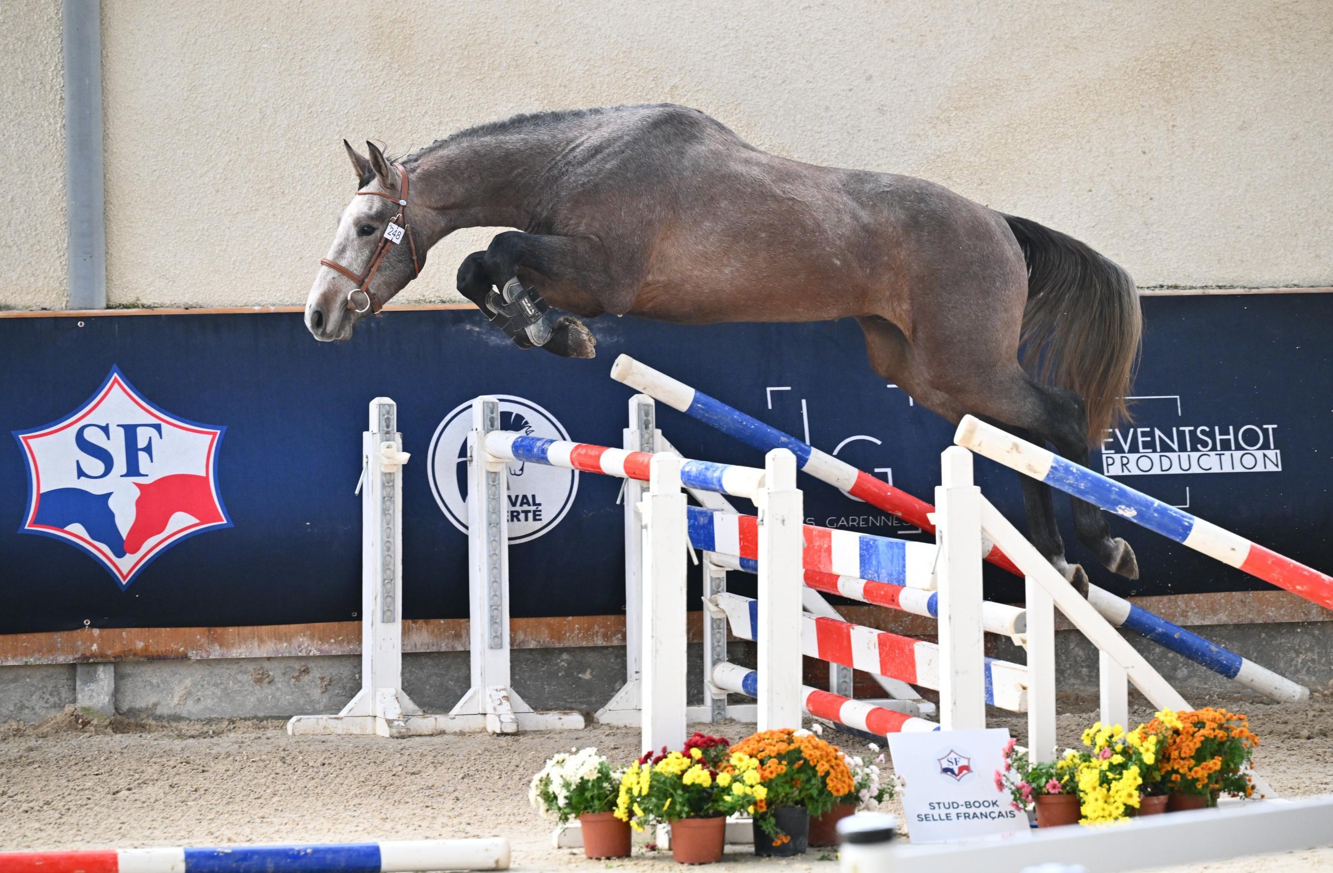 2025-11-04sfchazey-scea-d-aurois-newlord-d-aurois-w93 1211