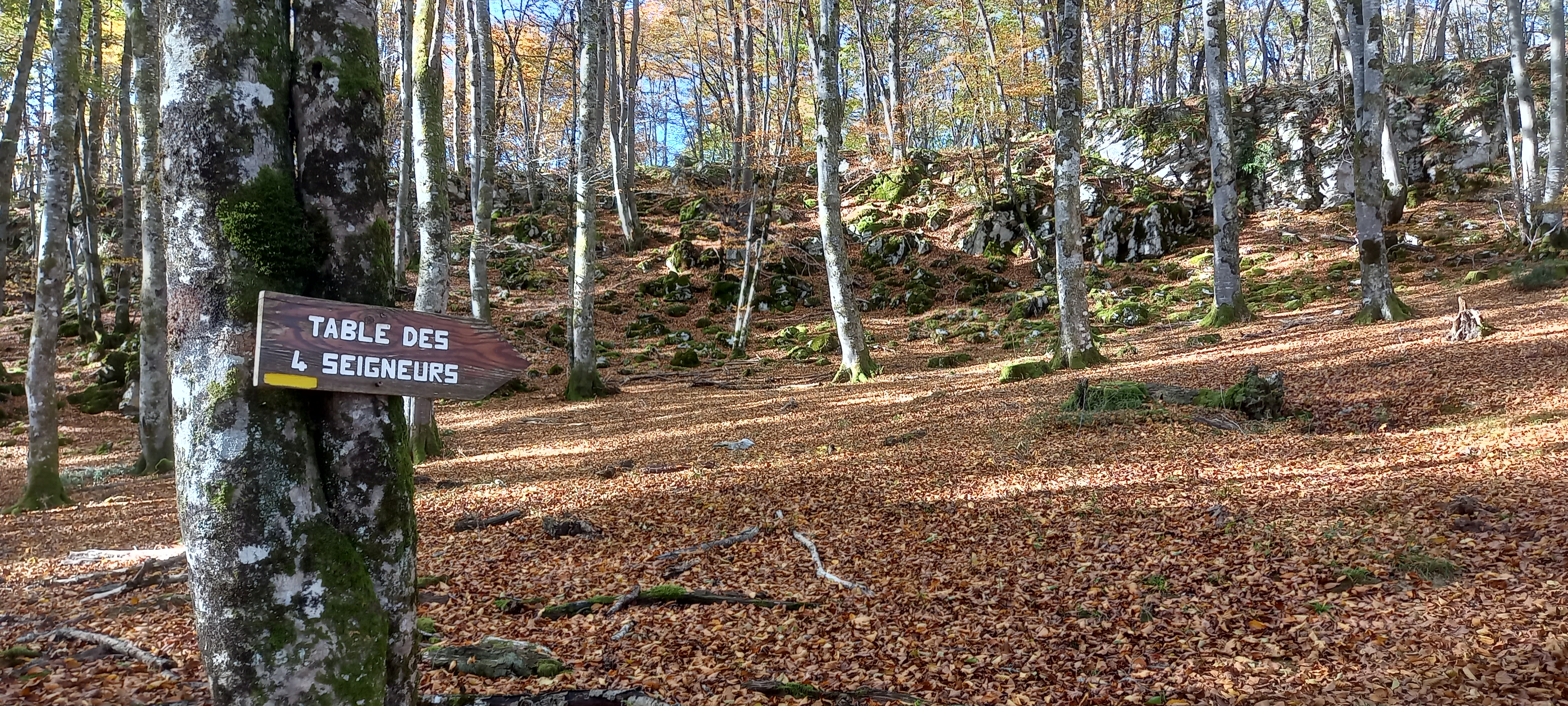 20221113 105238 copie