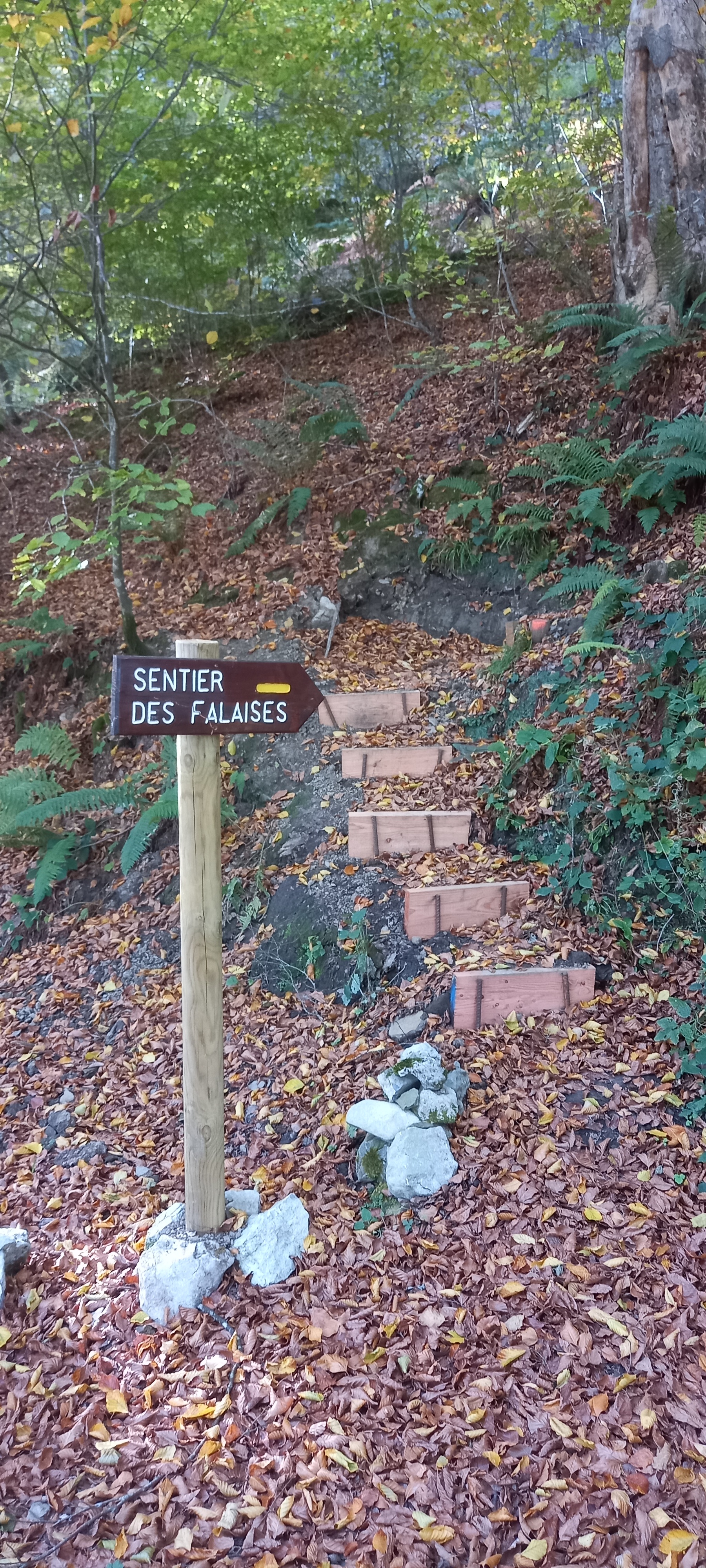 20221113 101358 copie